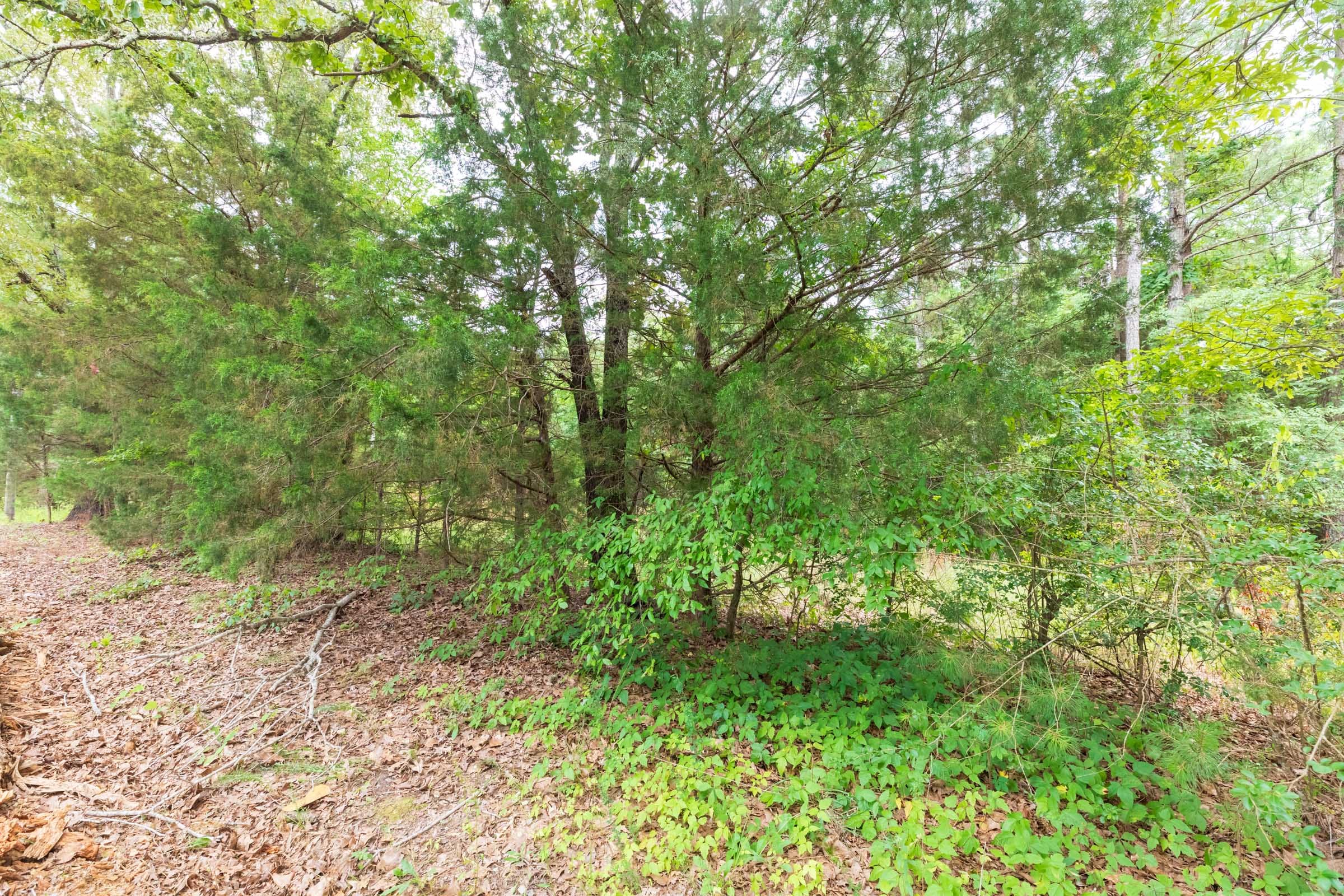 Whiskey Ridge Tract 41 photo 1