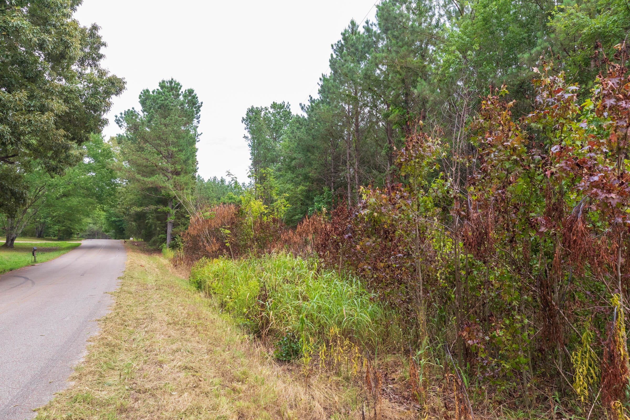 Whiskey Ridge Tract 41 photo 9