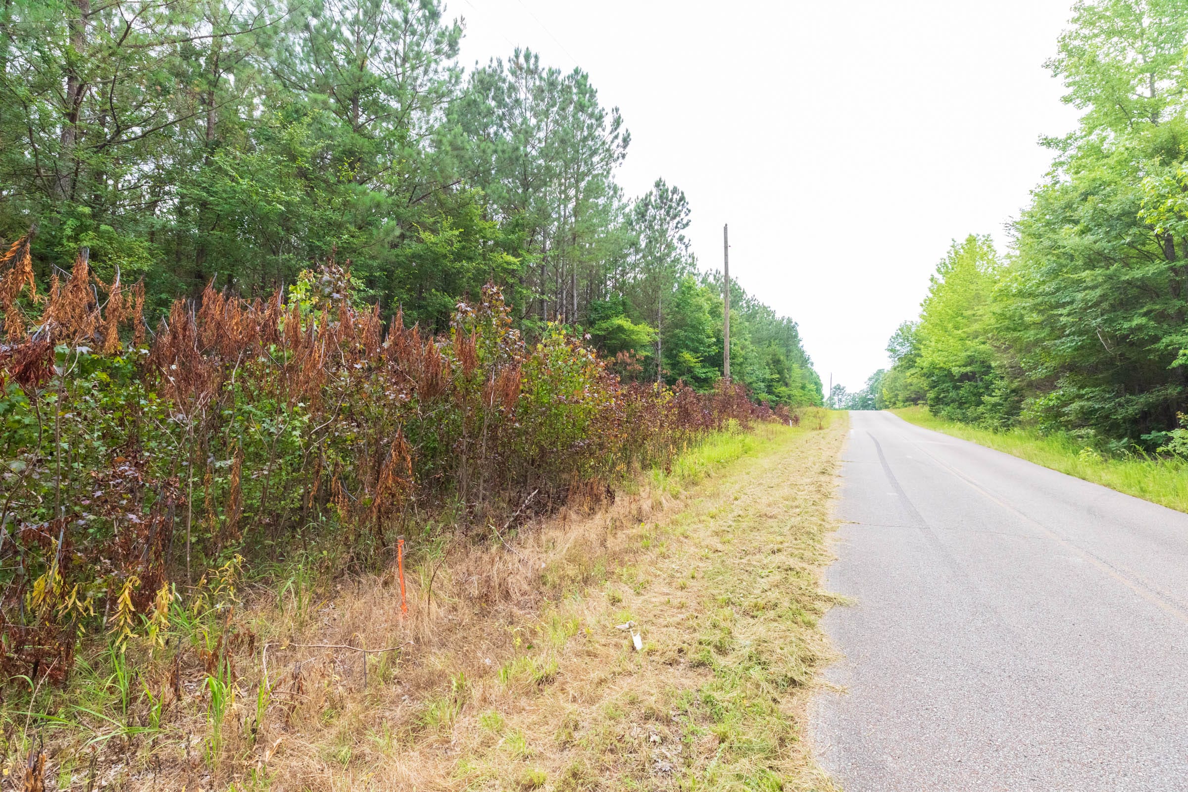 Whiskey Ridge Tract 41 photo 10