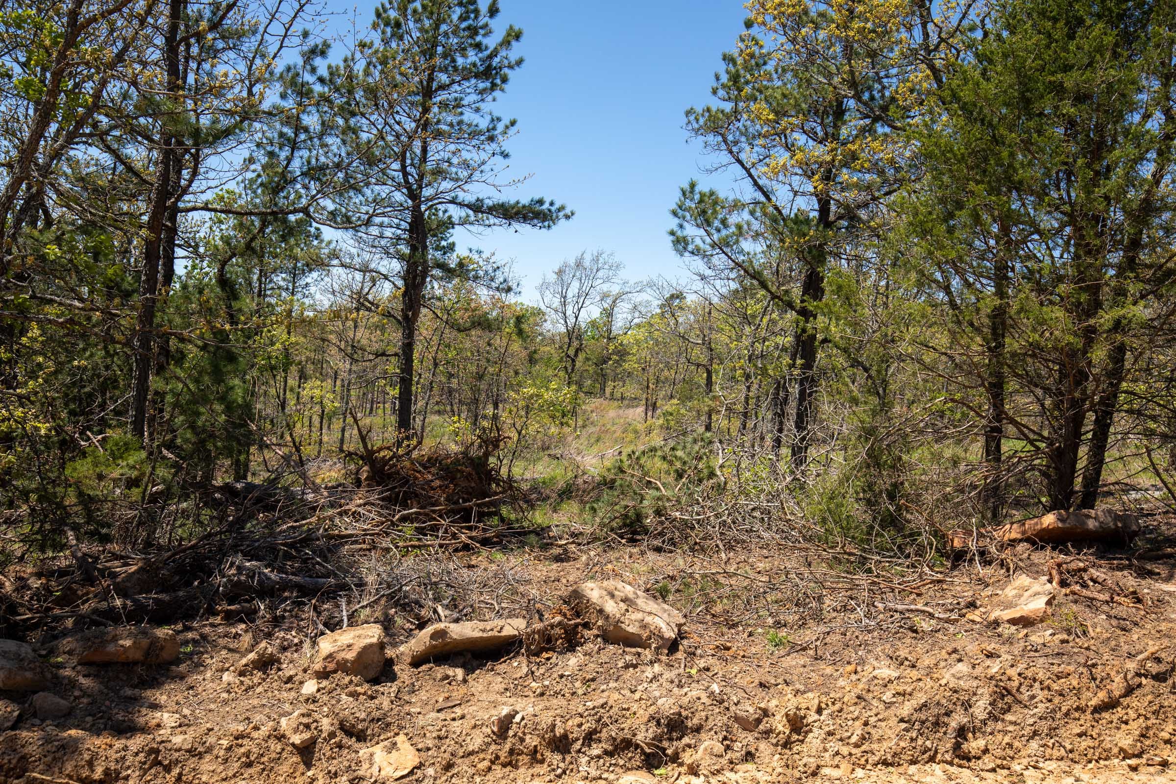 Eagle’s Nest Tract 5 photo 3