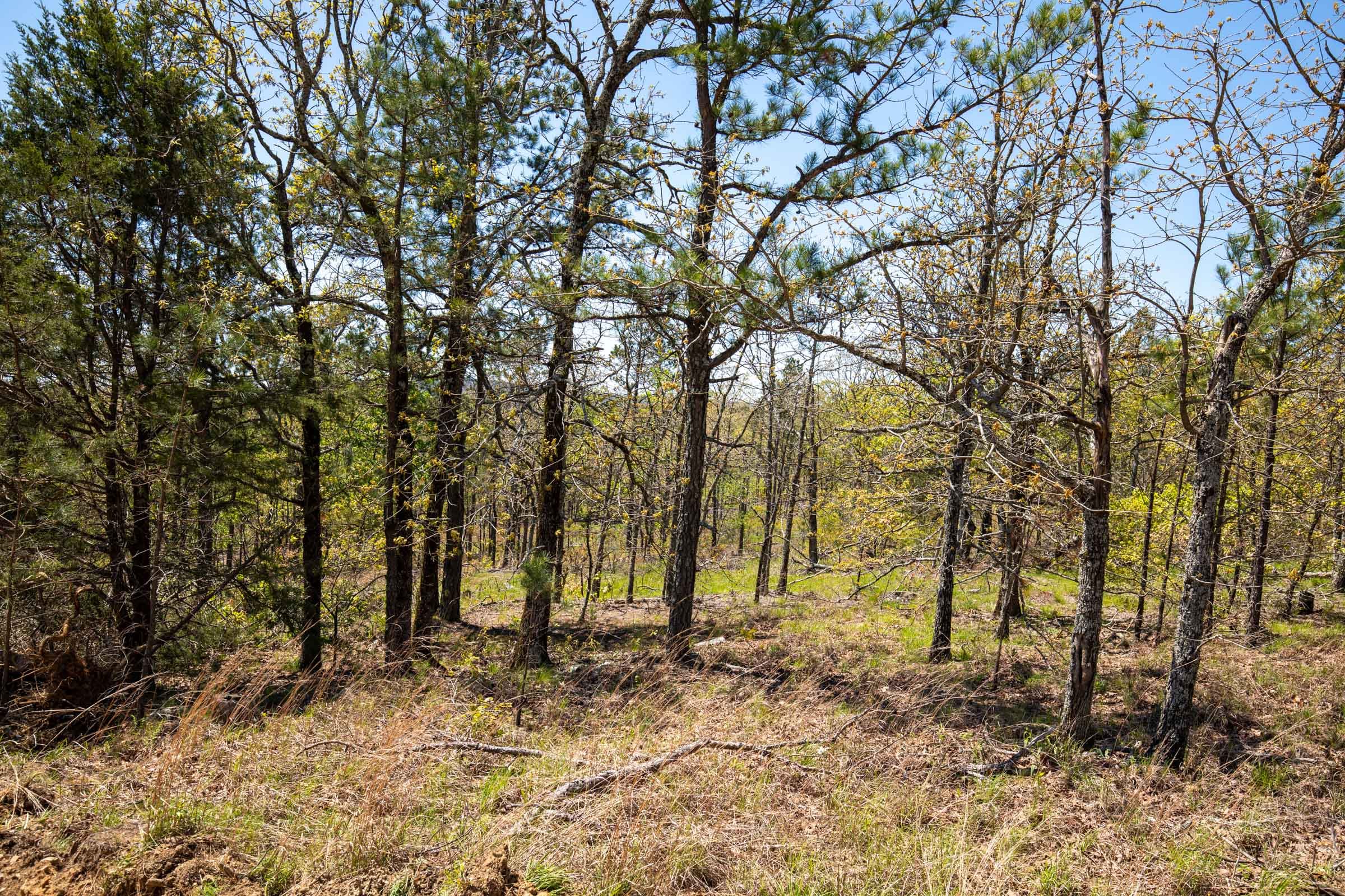 Eagle’s Nest Tract 5 photo 4