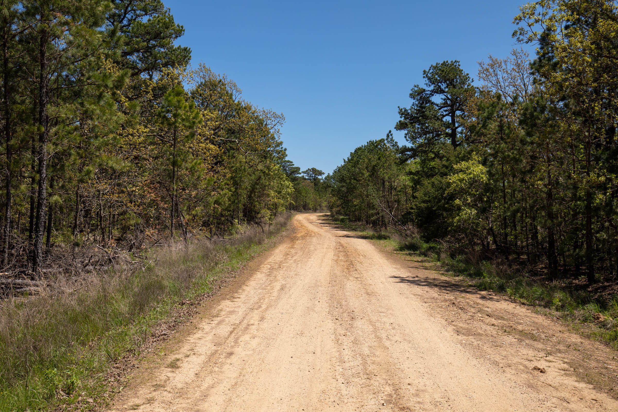 Eagle’s Nest Tract 5 photo 6