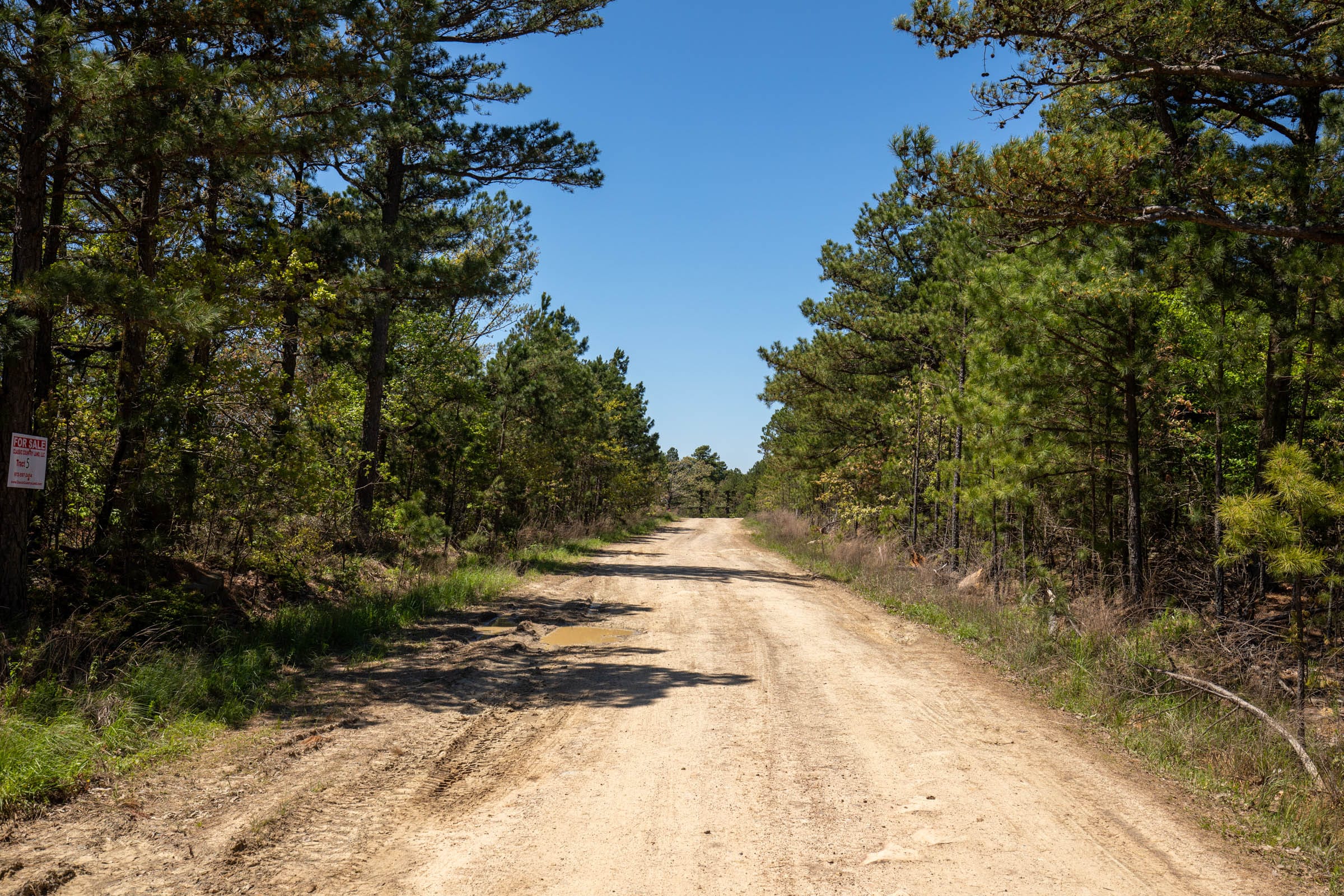 Eagle’s Nest Tract 5 photo 7