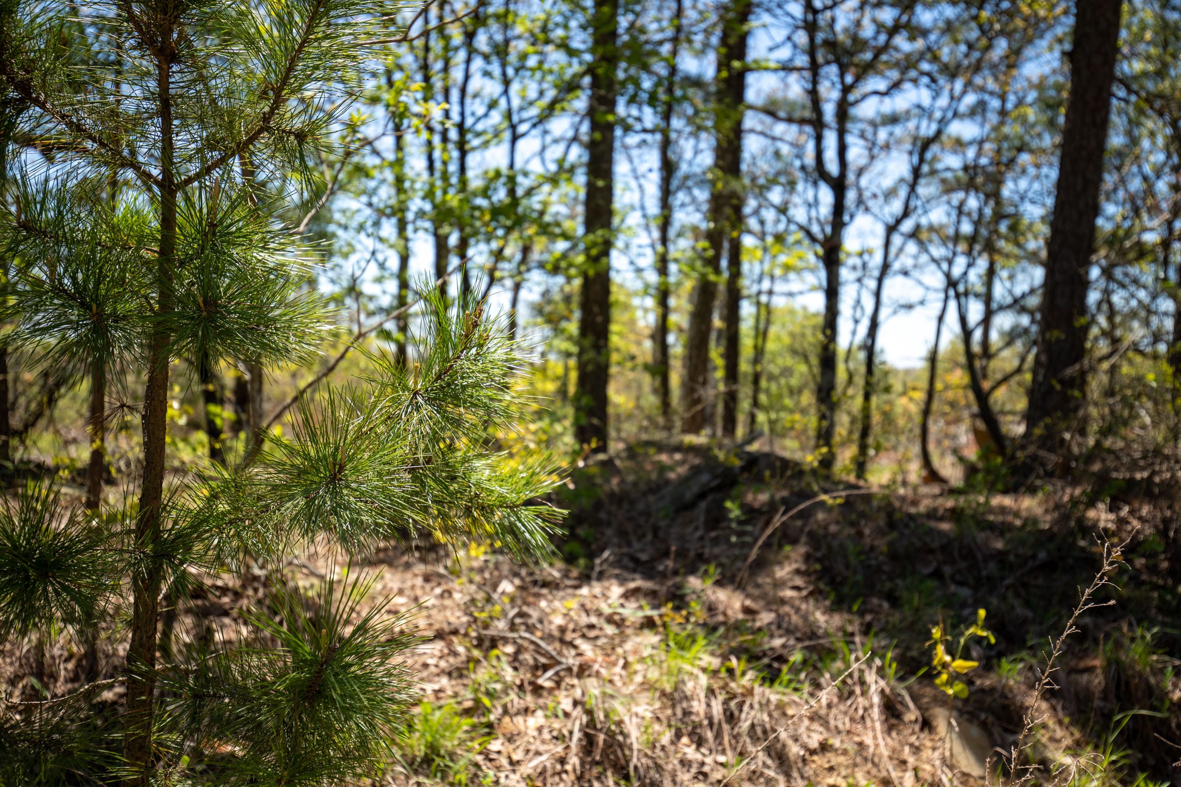 Eagle’s Nest Tract 5 photo 8