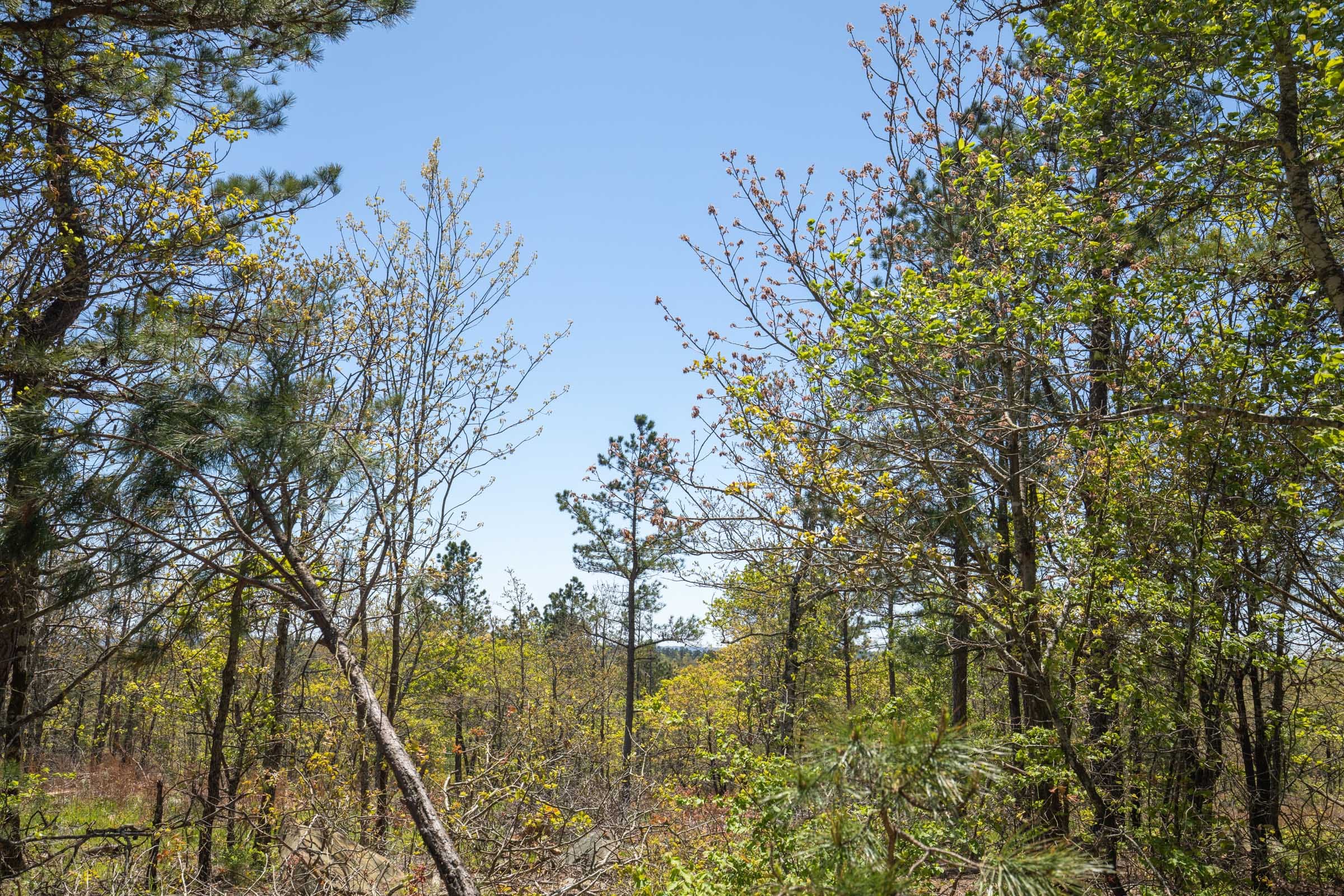 Eagle’s Nest Tract 5 photo 9