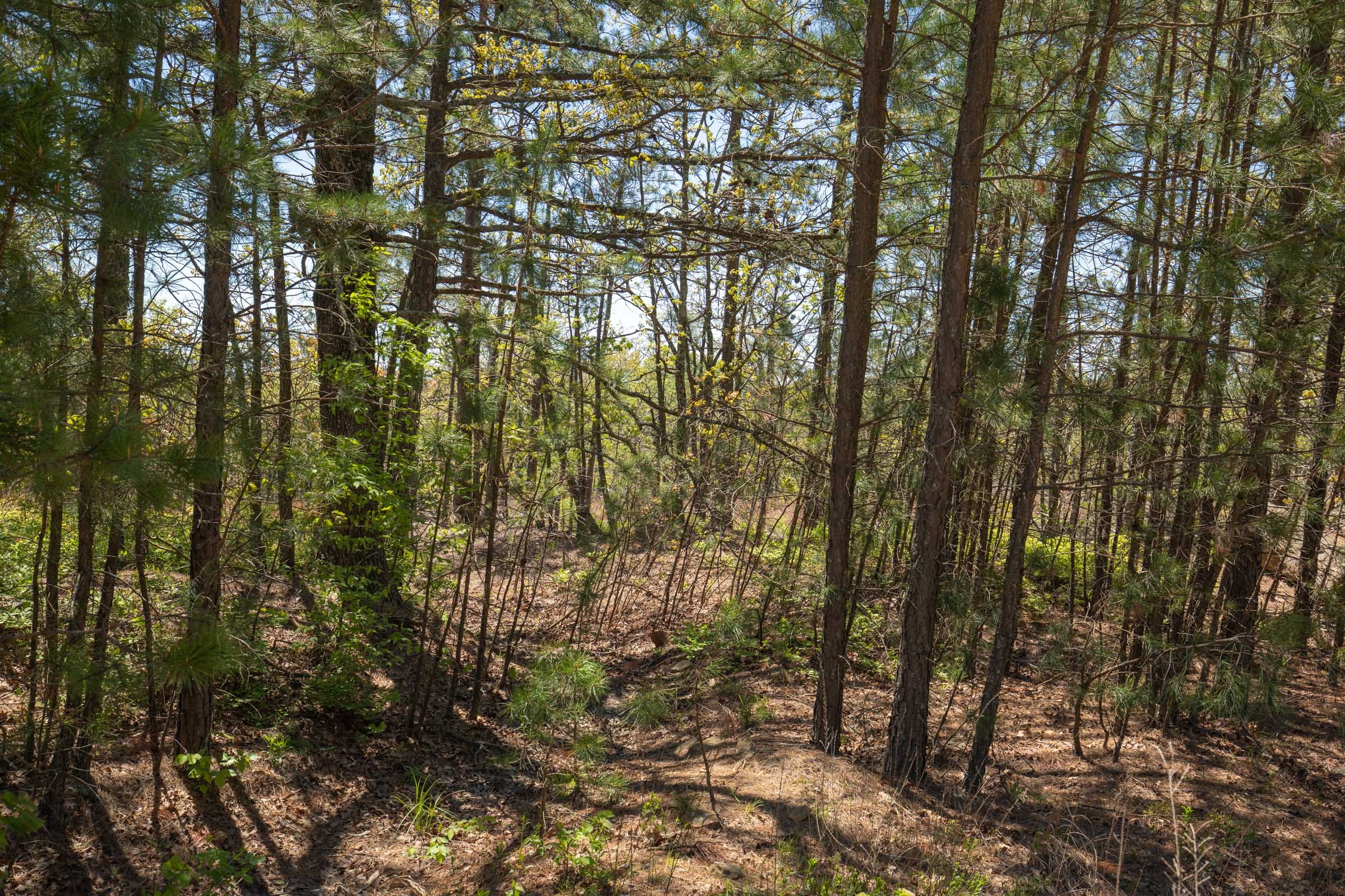 Eagle’s Nest Tract 5 photo 10