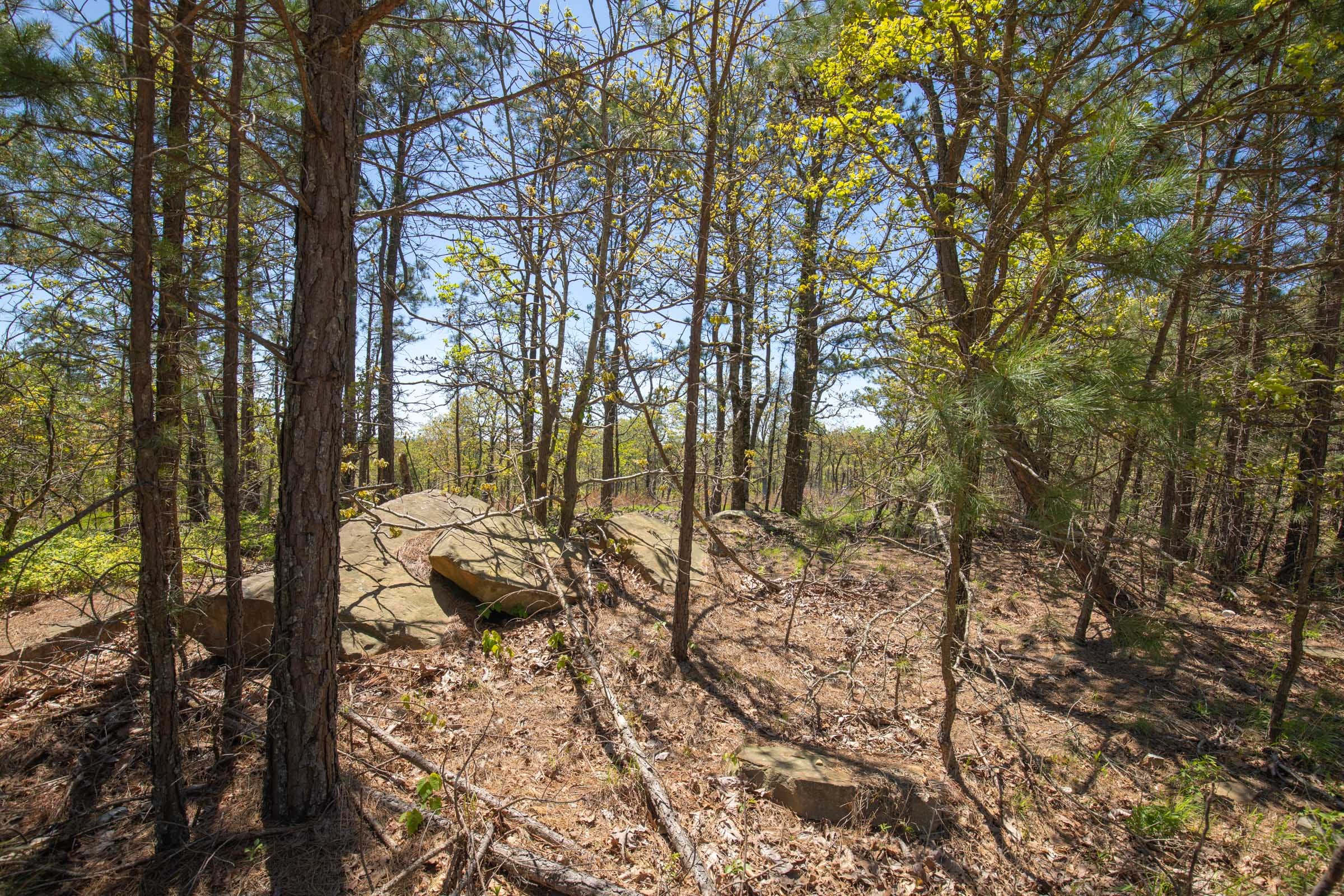 Eagle’s Nest Tract 5 photo 11