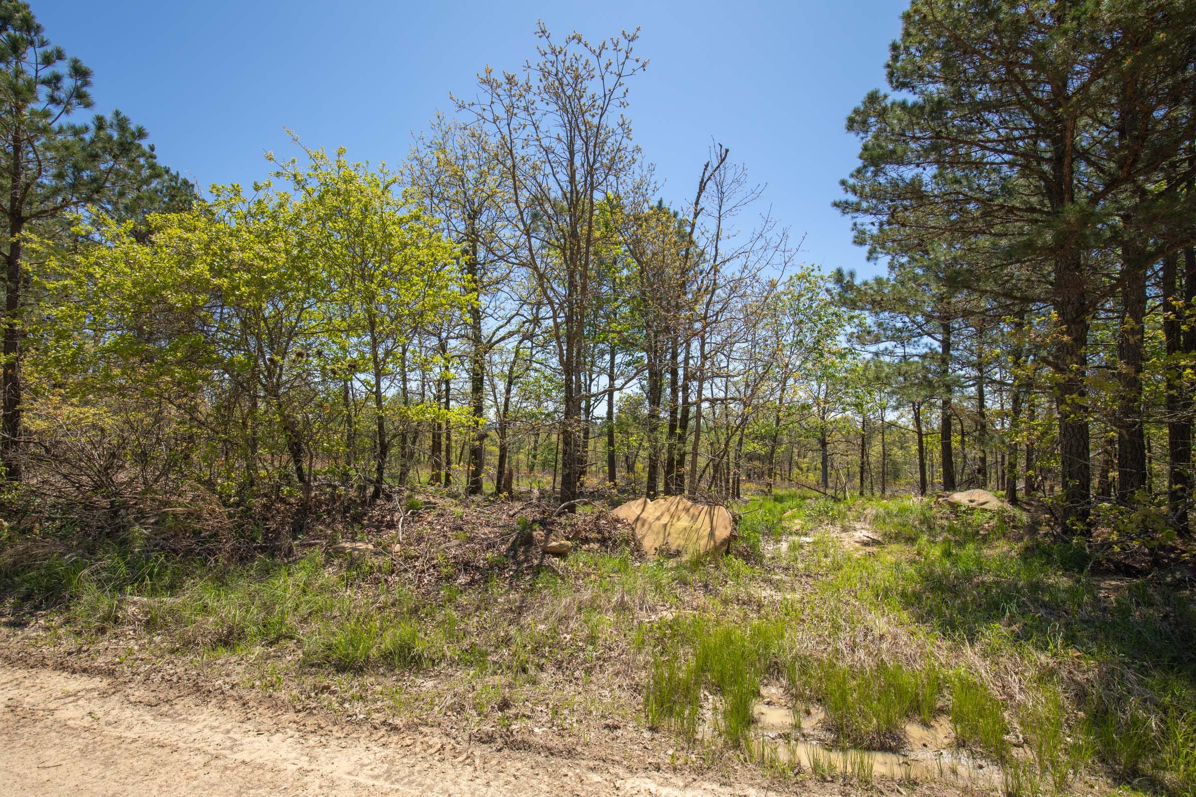 Eagle’s Nest Tract 5 photo 12