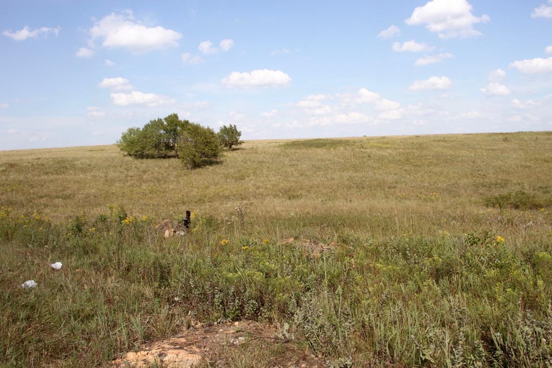 Cowboy Meadows Tract 20 photo 1