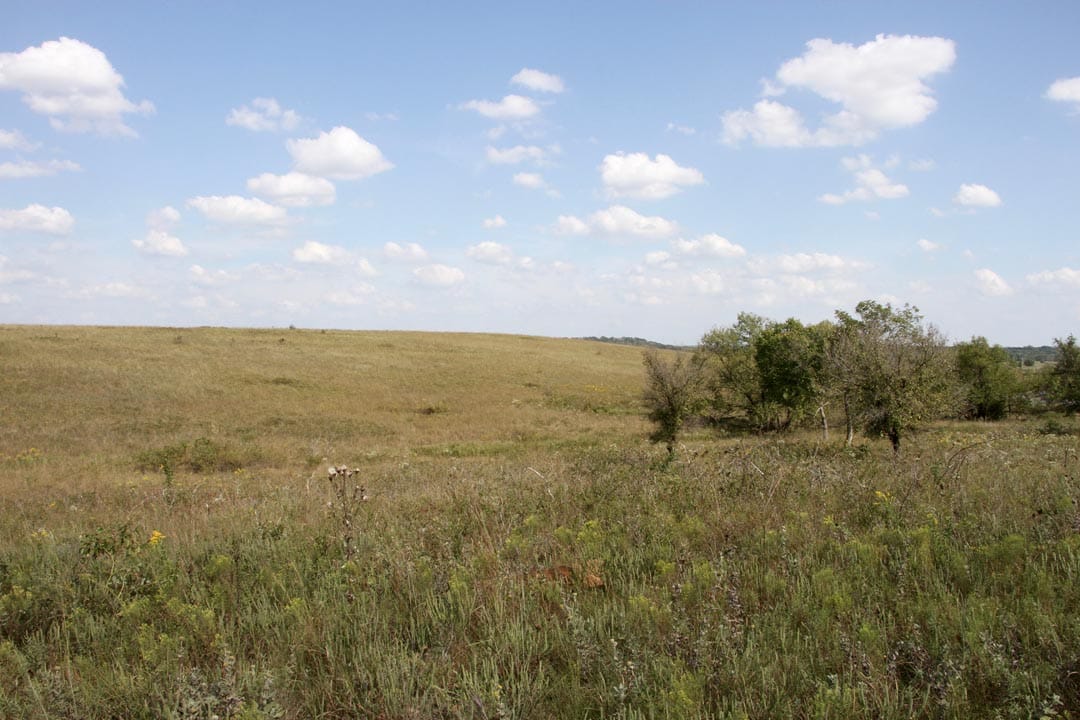 Cowboy Meadows Tract 20 photo 2