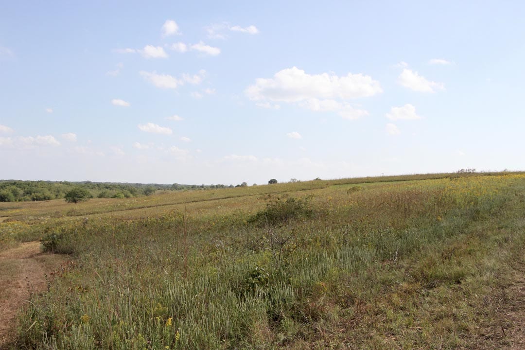 Cowboy Meadows Tract 20 photo 3