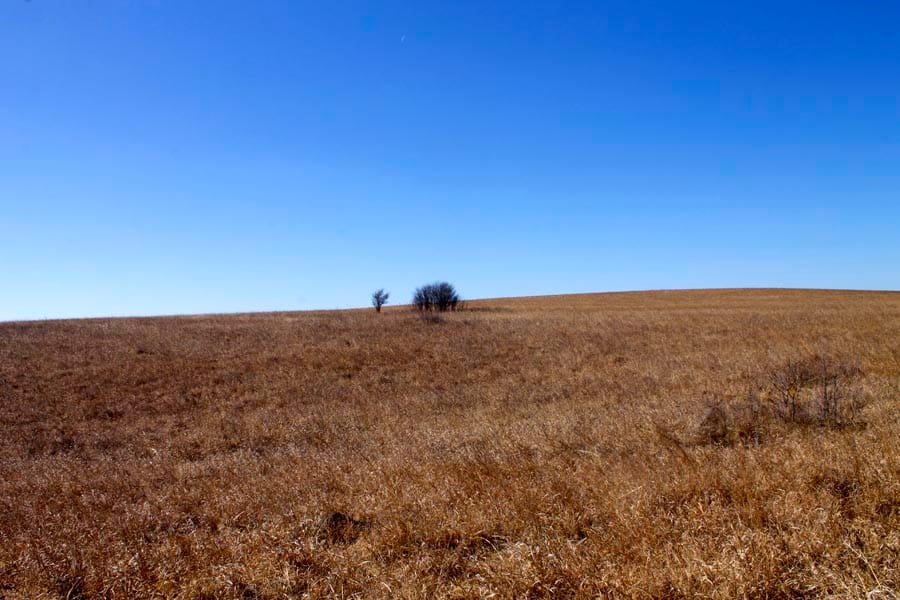 Cowboy Meadows Tract 20 photo 5