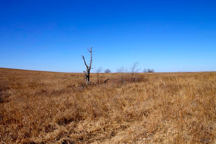 Cowboy Meadows Tract 20 photo 6