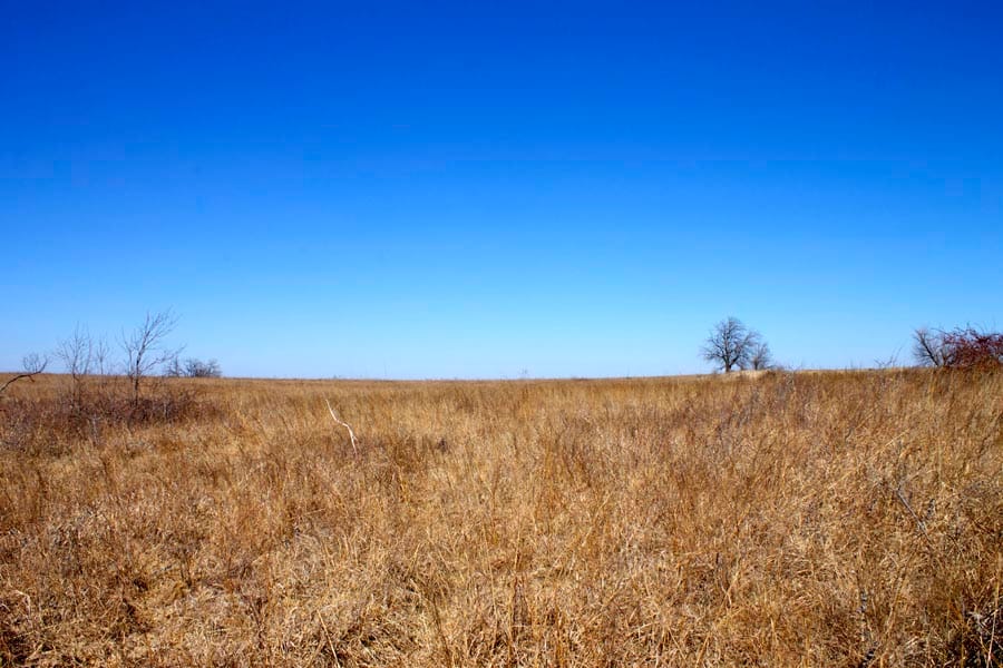 Cowboy Meadows Tract 20 photo 7