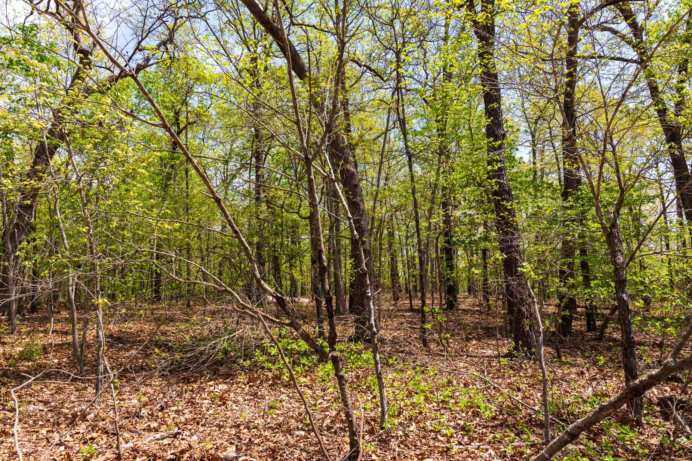 Autumnwood Tract 22 photo 7