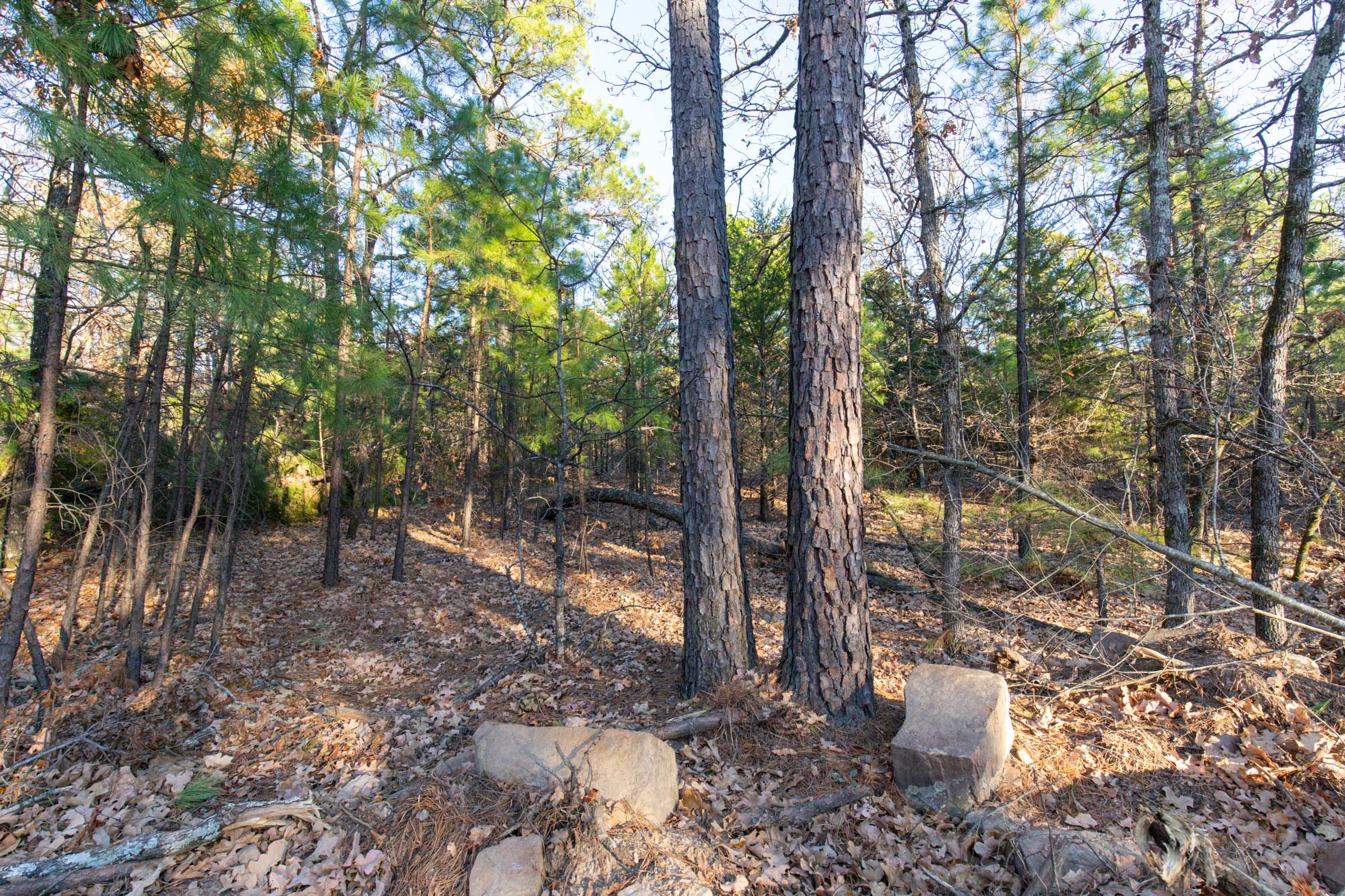 Stone Bridge Phase II Tract 88 photo 2