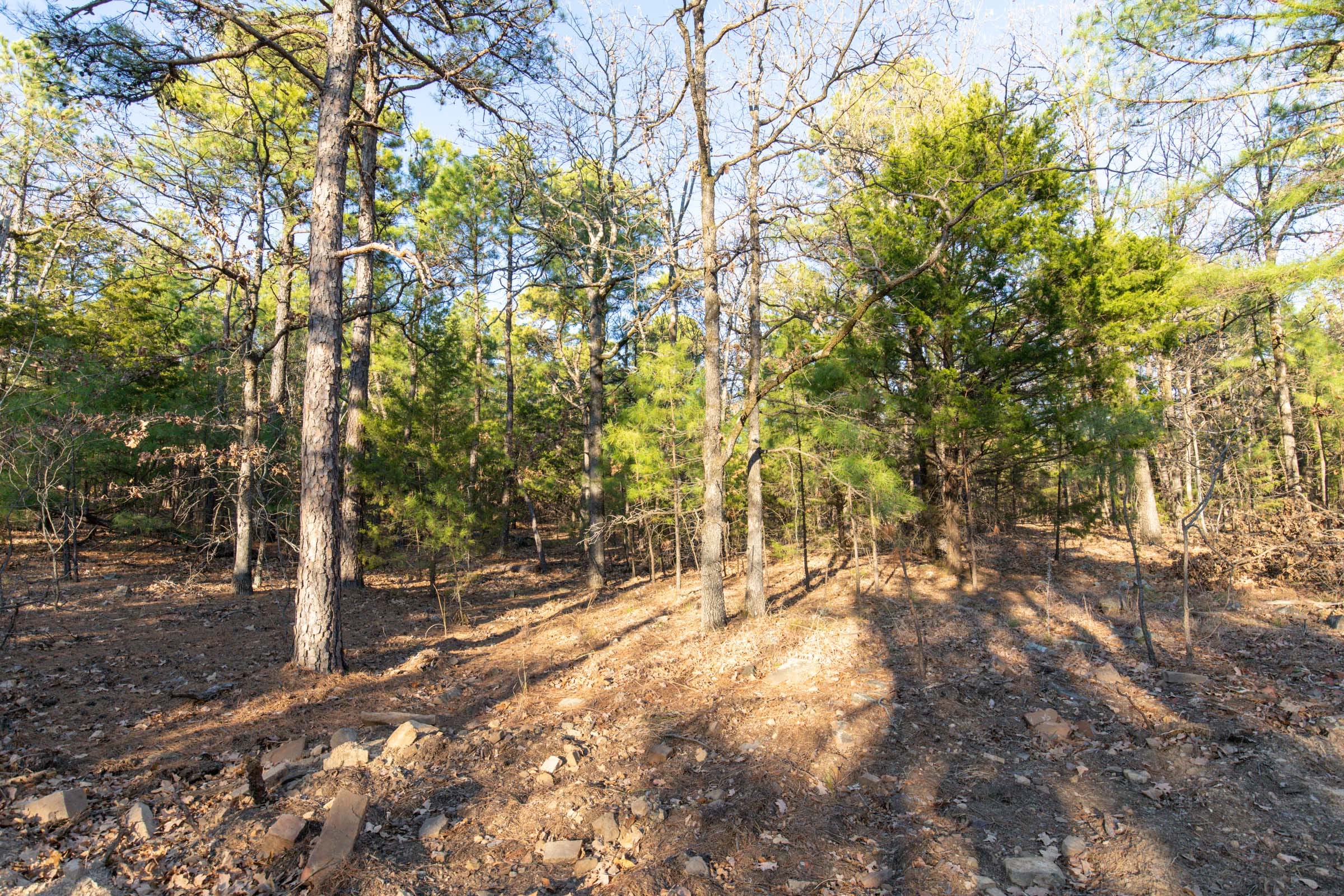 Stone Bridge Phase II Tract 88 photo 3