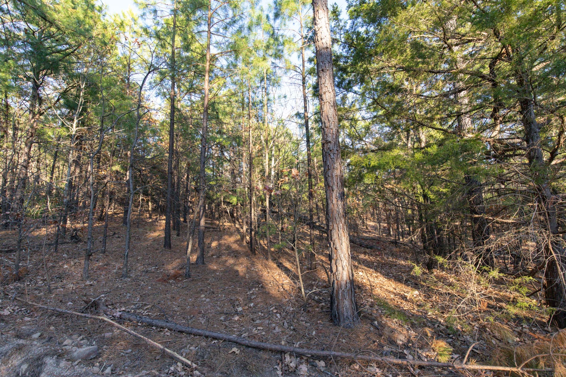 Stone Bridge Phase II Tract 88 photo 4