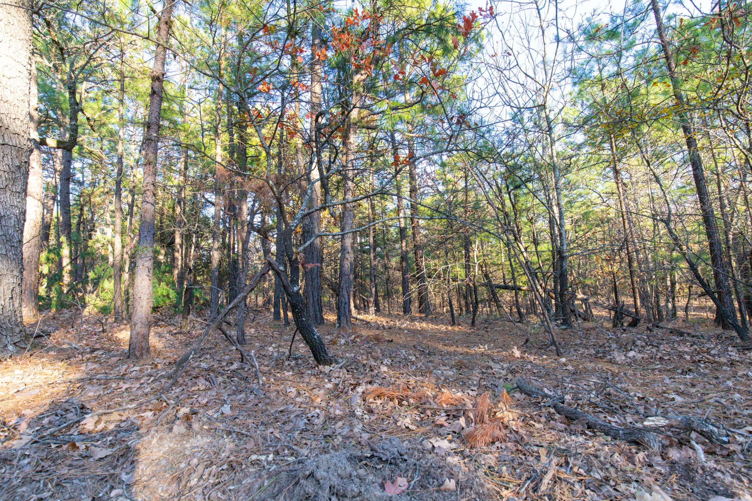 Stone Bridge Phase II Tract 88 photo 5