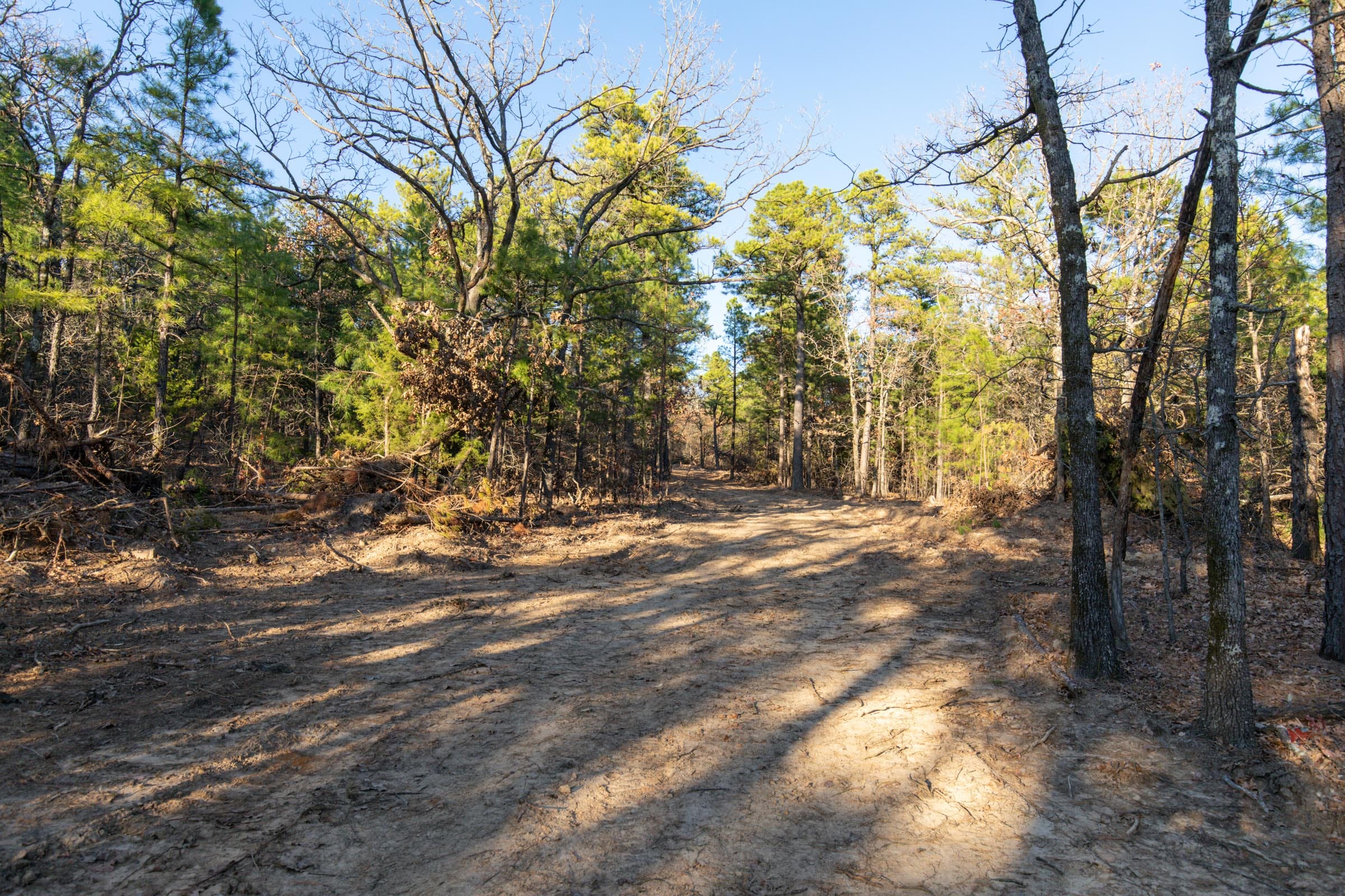Stone Bridge Phase II Tract 88 photo 6