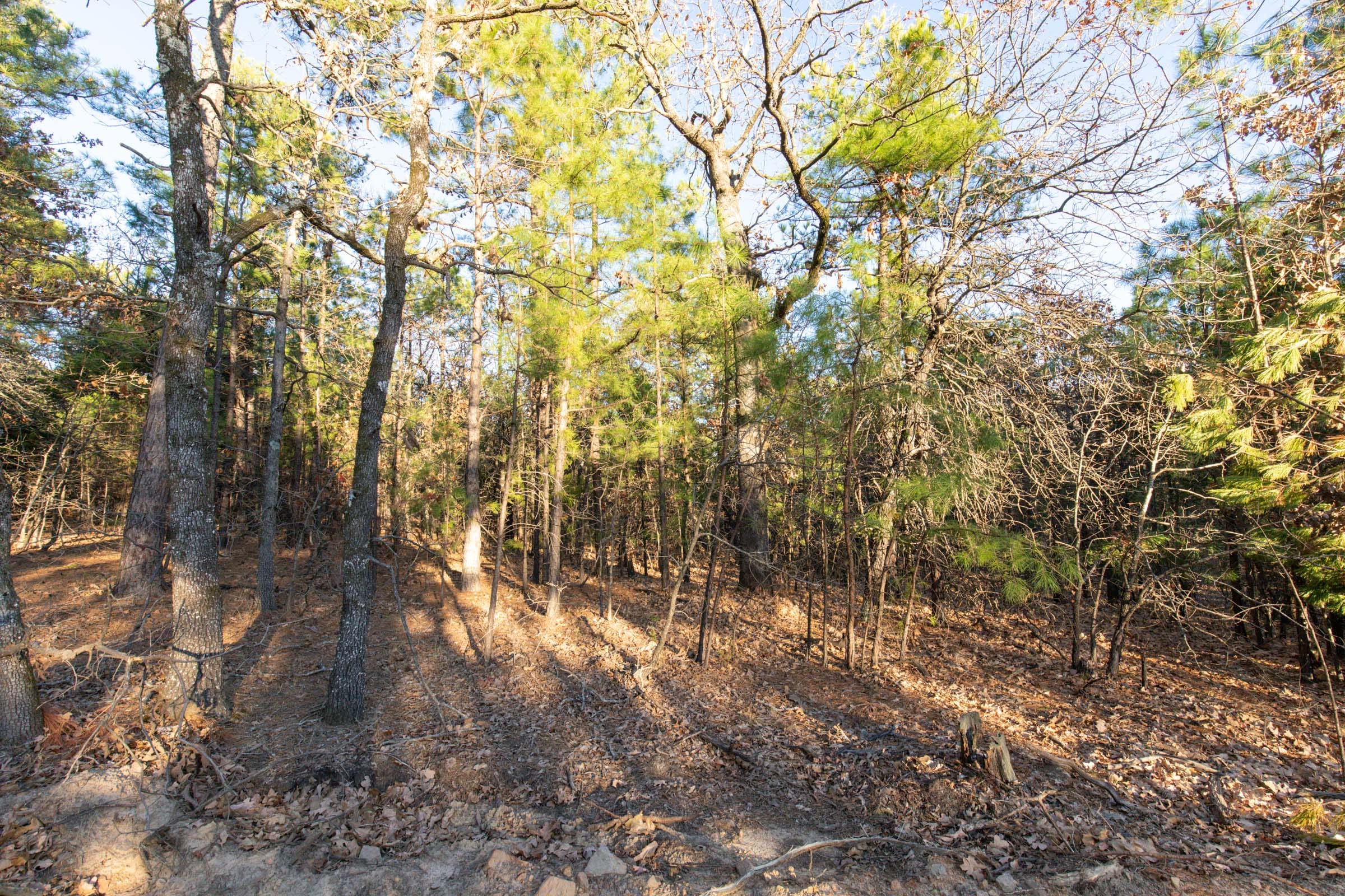 Stone Bridge Phase II Tract 88 photo 7