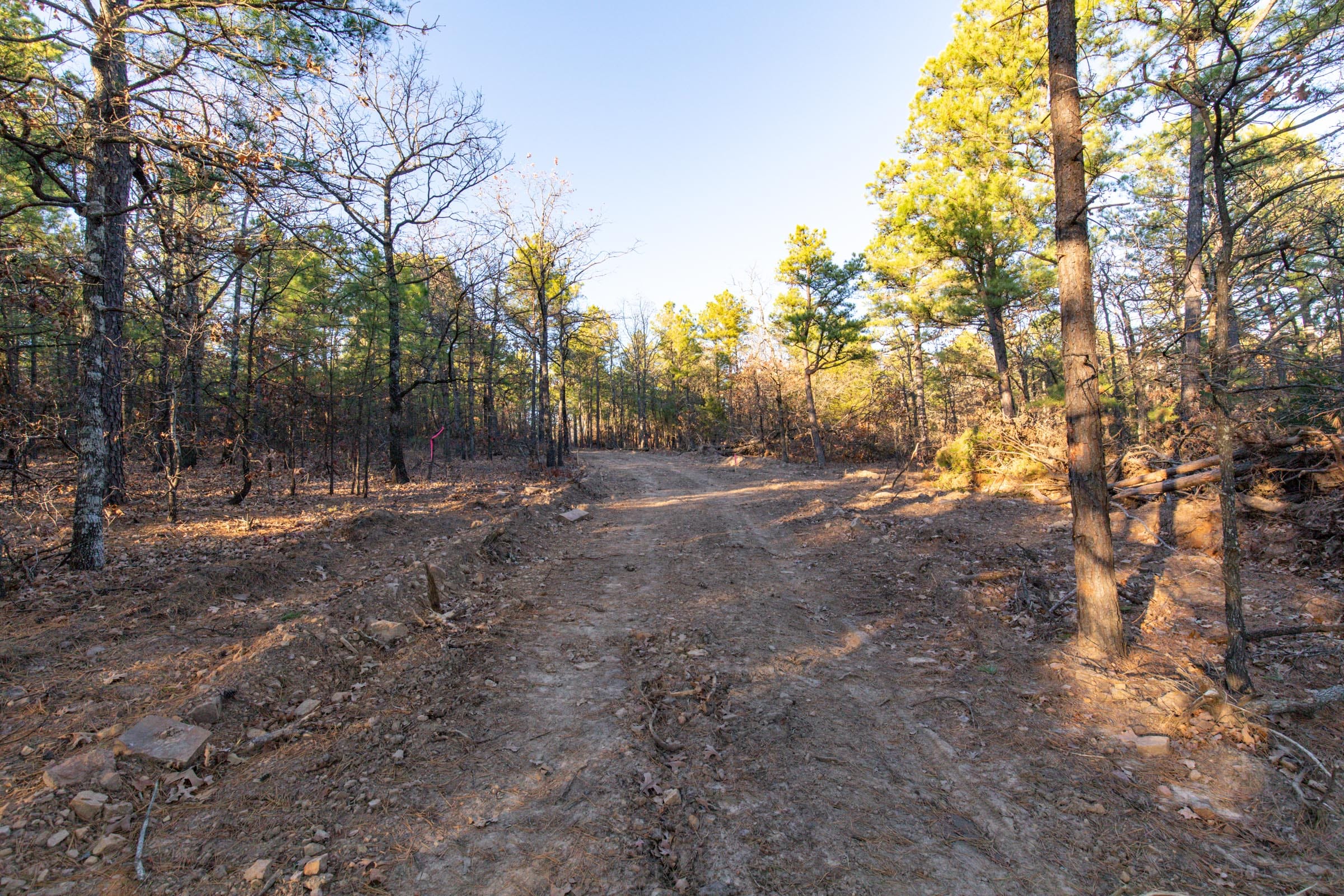 Stone Bridge Phase II Tract 88 photo 1