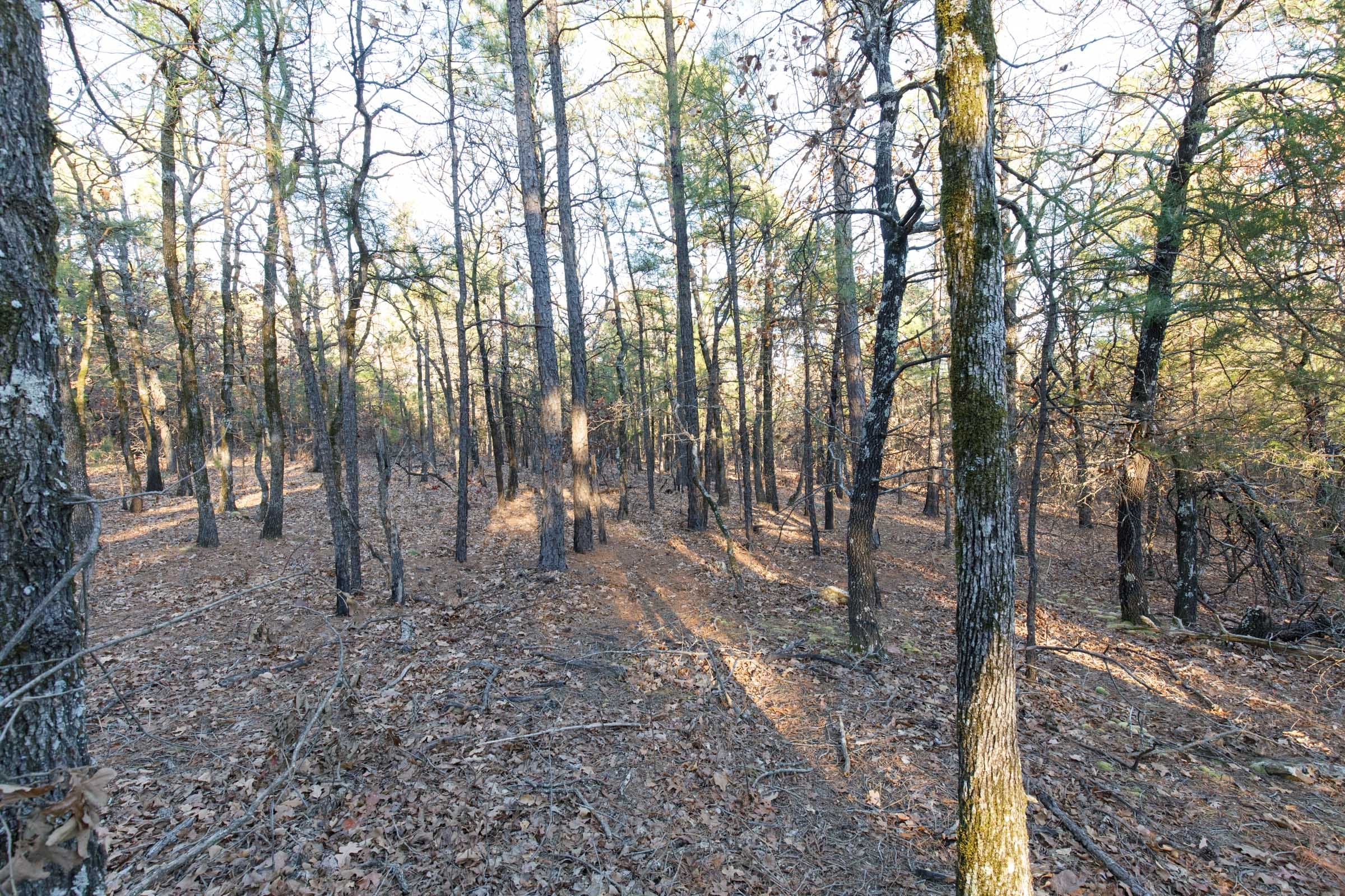 Stone Bridge Phase II Tract 88 photo 11
