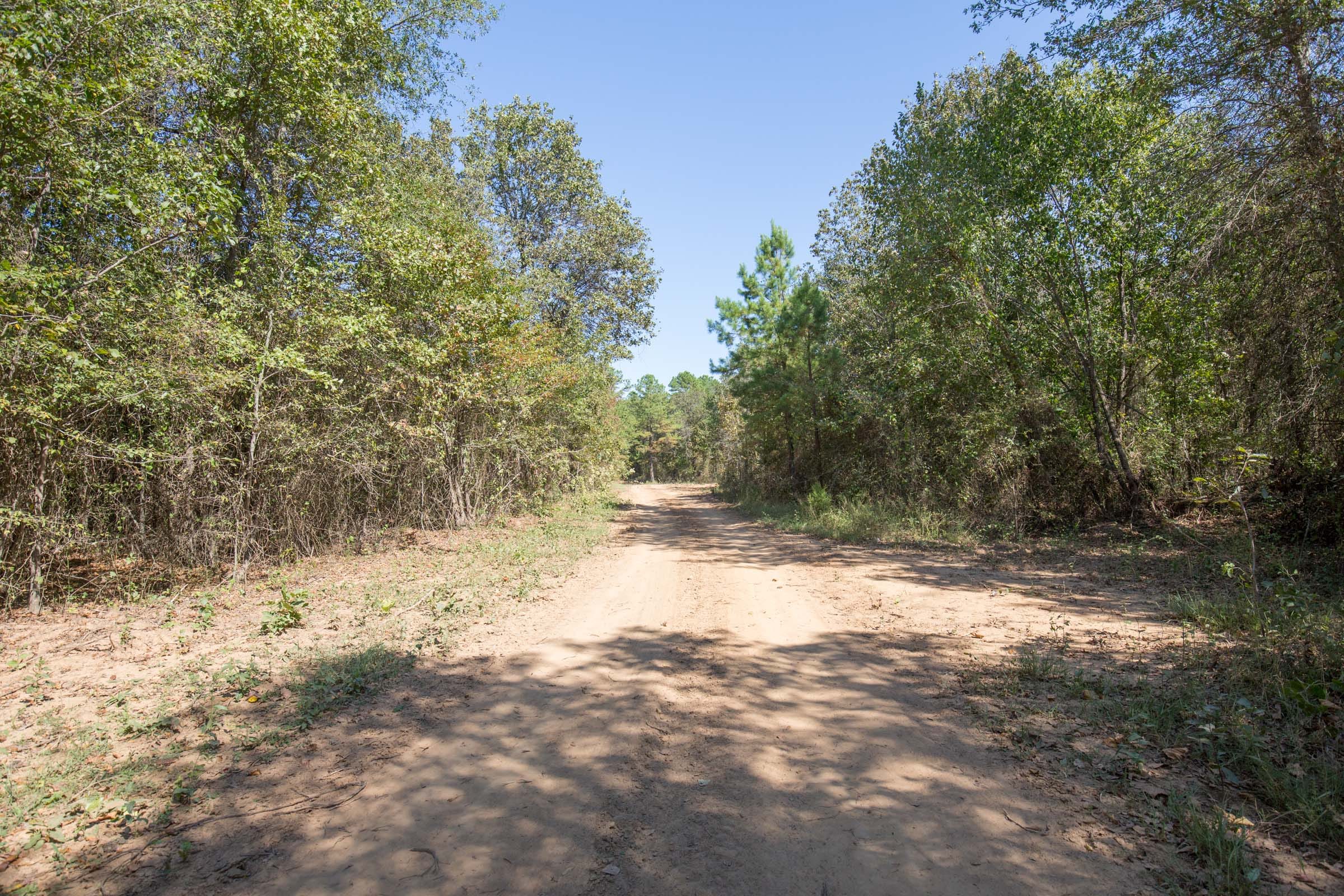 Stone Bridge Phase I Tract 16 photo 1