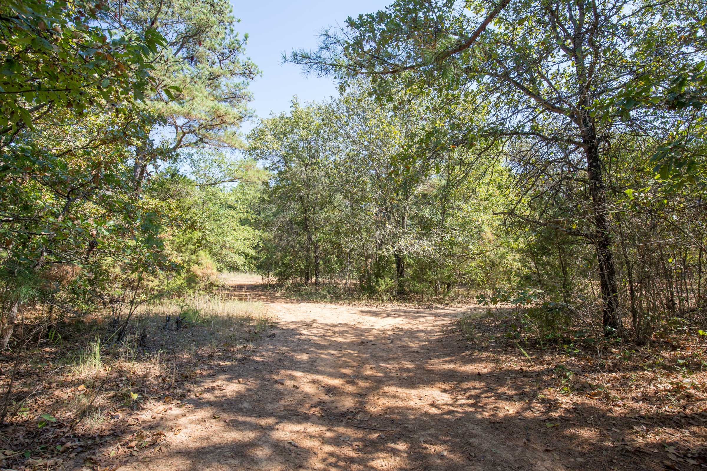 Stone Bridge Phase I Tract 16 photo 7
