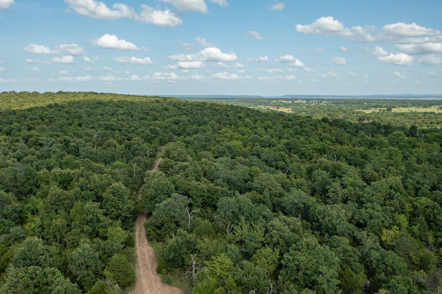Timber Ridge Tract 40 photo 1