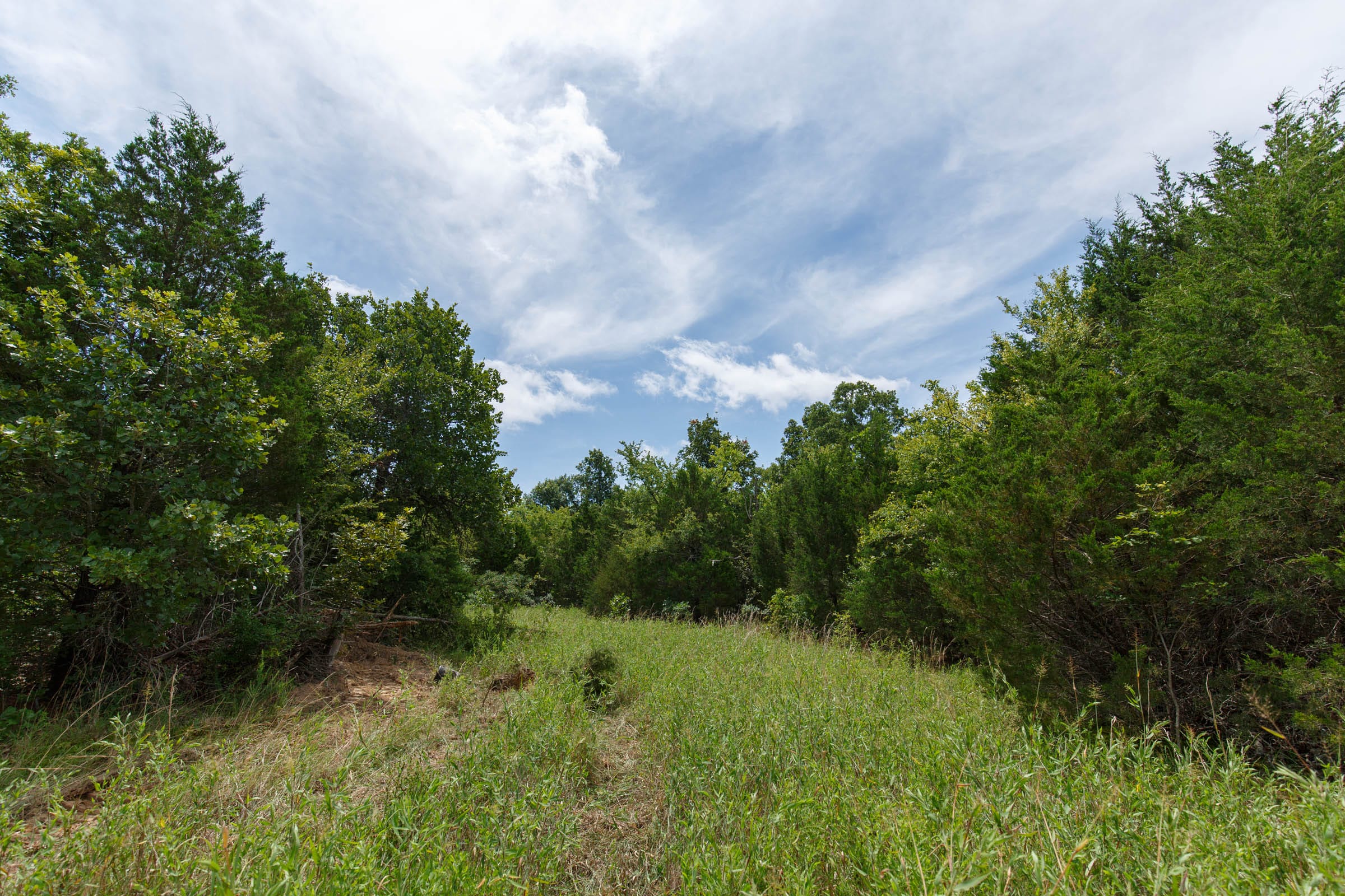 Timber Ridge Tract 40 photo 4