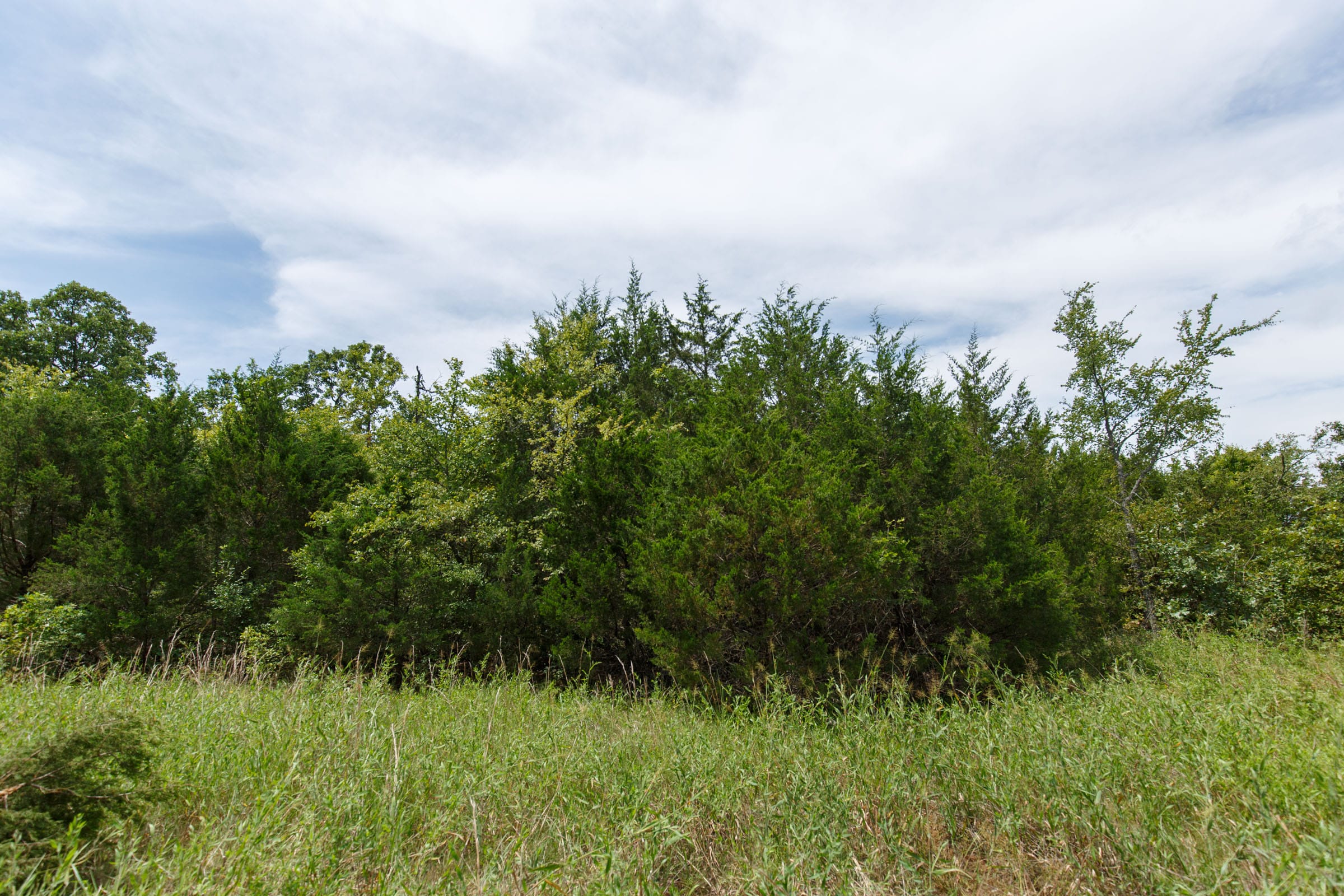 Timber Ridge Tract 40 photo 6