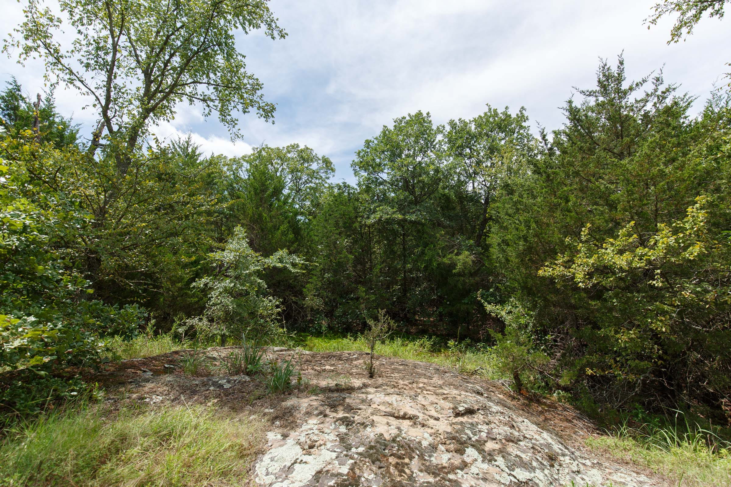 Timber Ridge Tract 40 photo 2