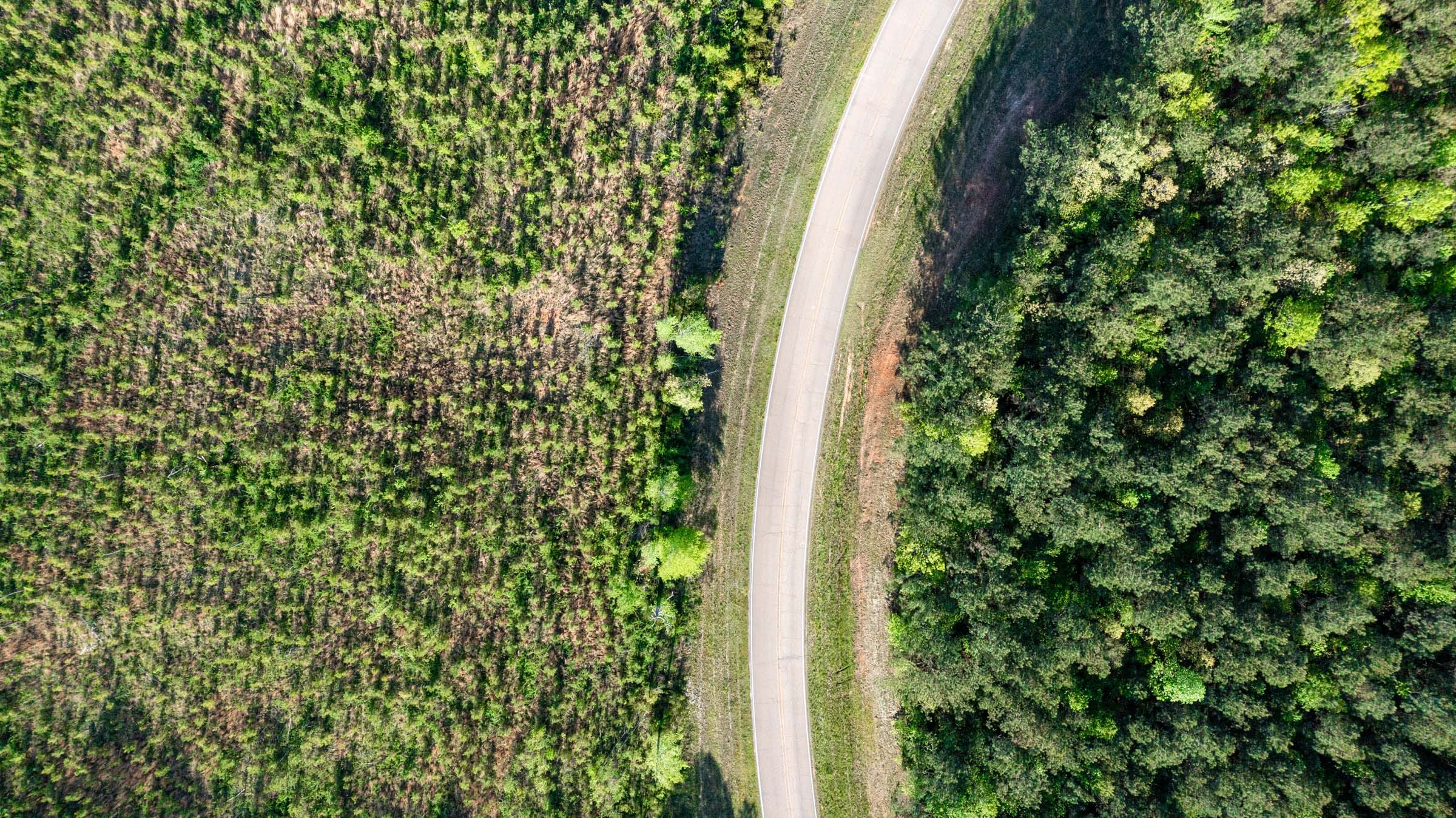 Clear Wood Tract 4 photo 3
