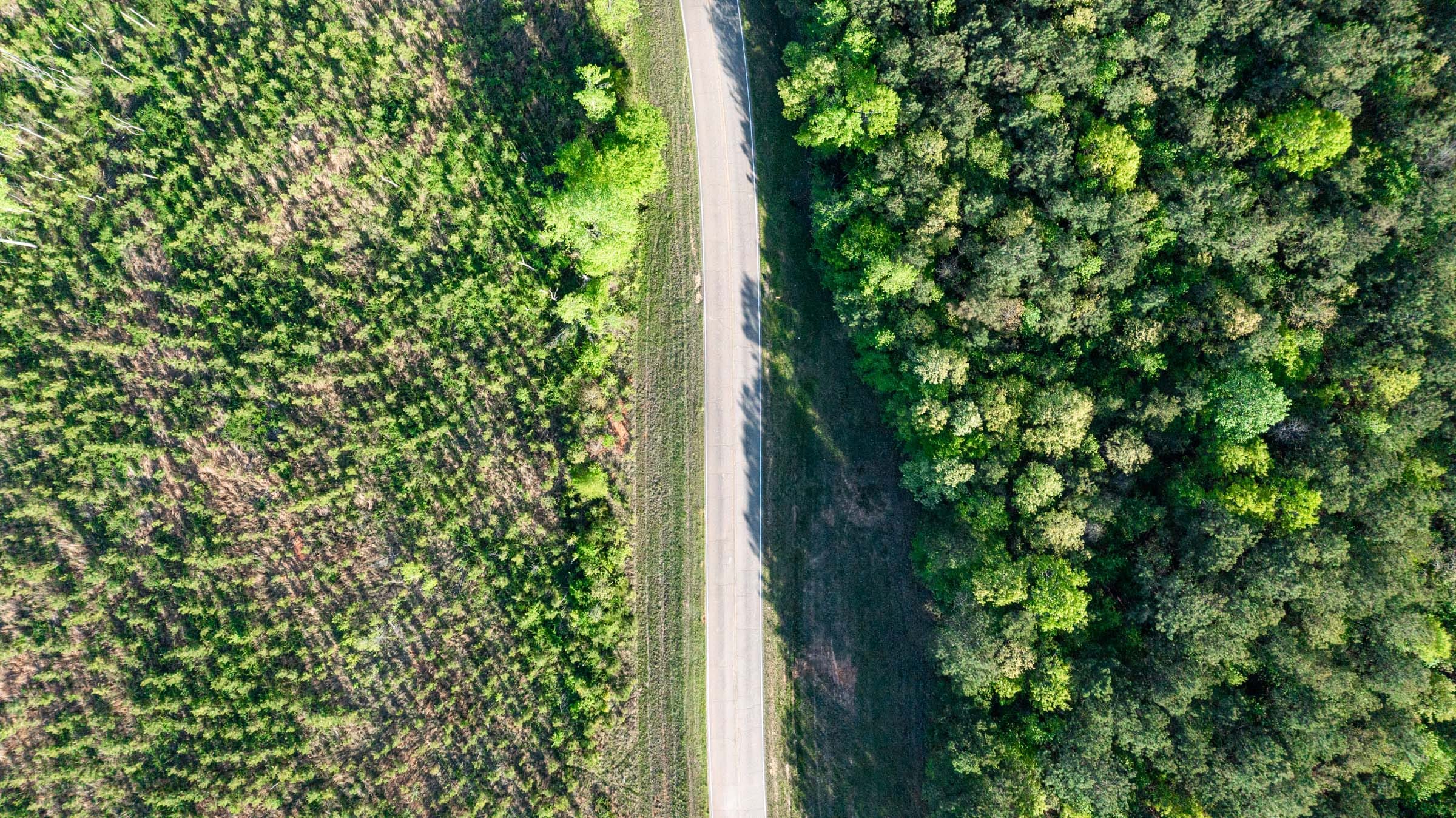 Clear Wood Tract 4 photo 4