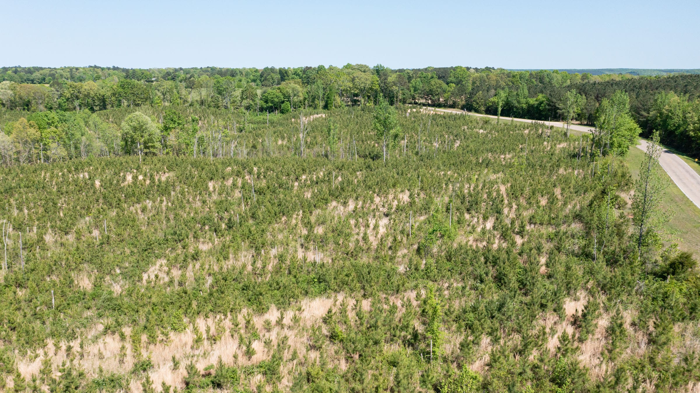 Clear Wood Tract 4 photo 6