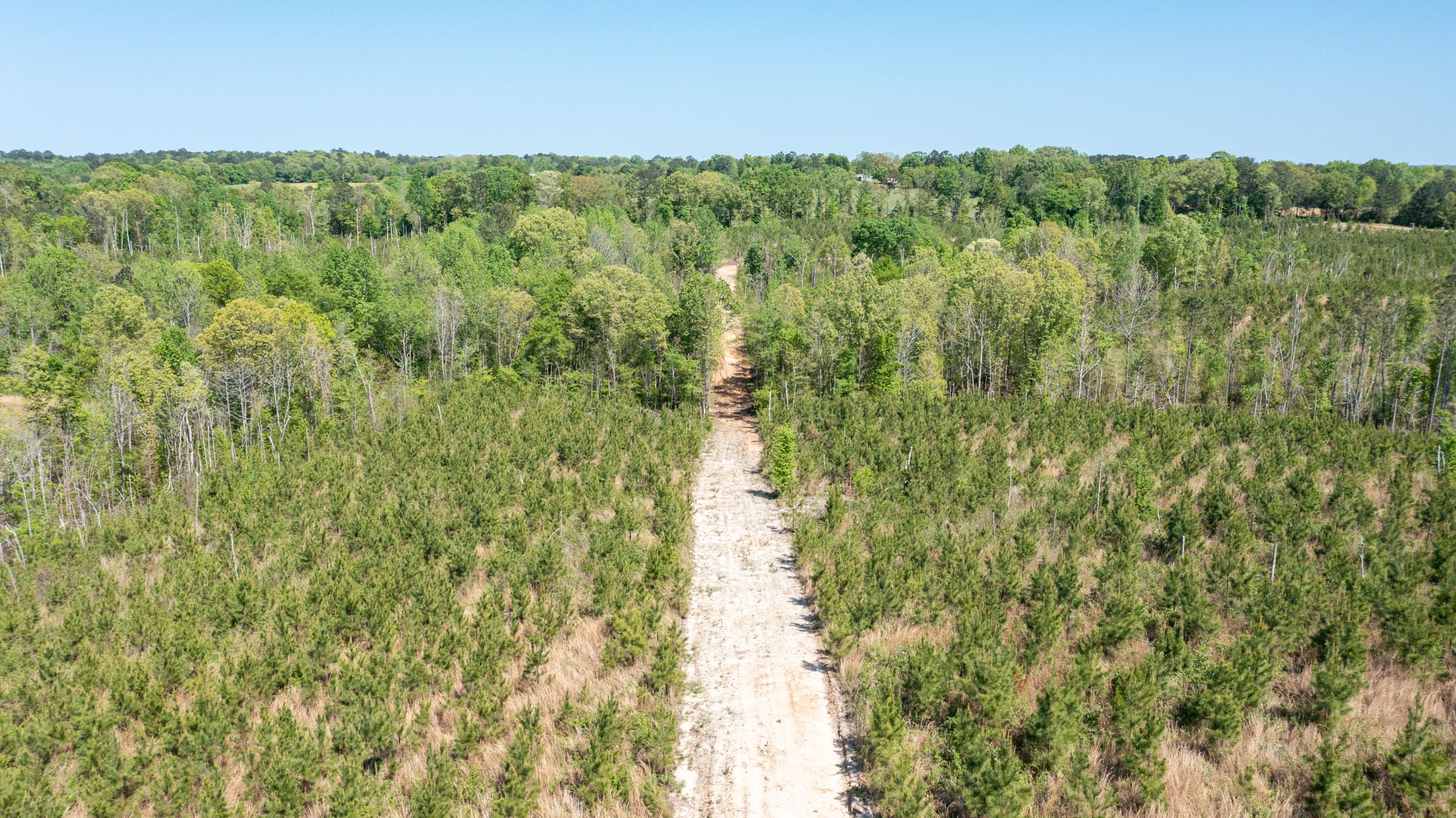 Clear Wood Tract 4 photo 7