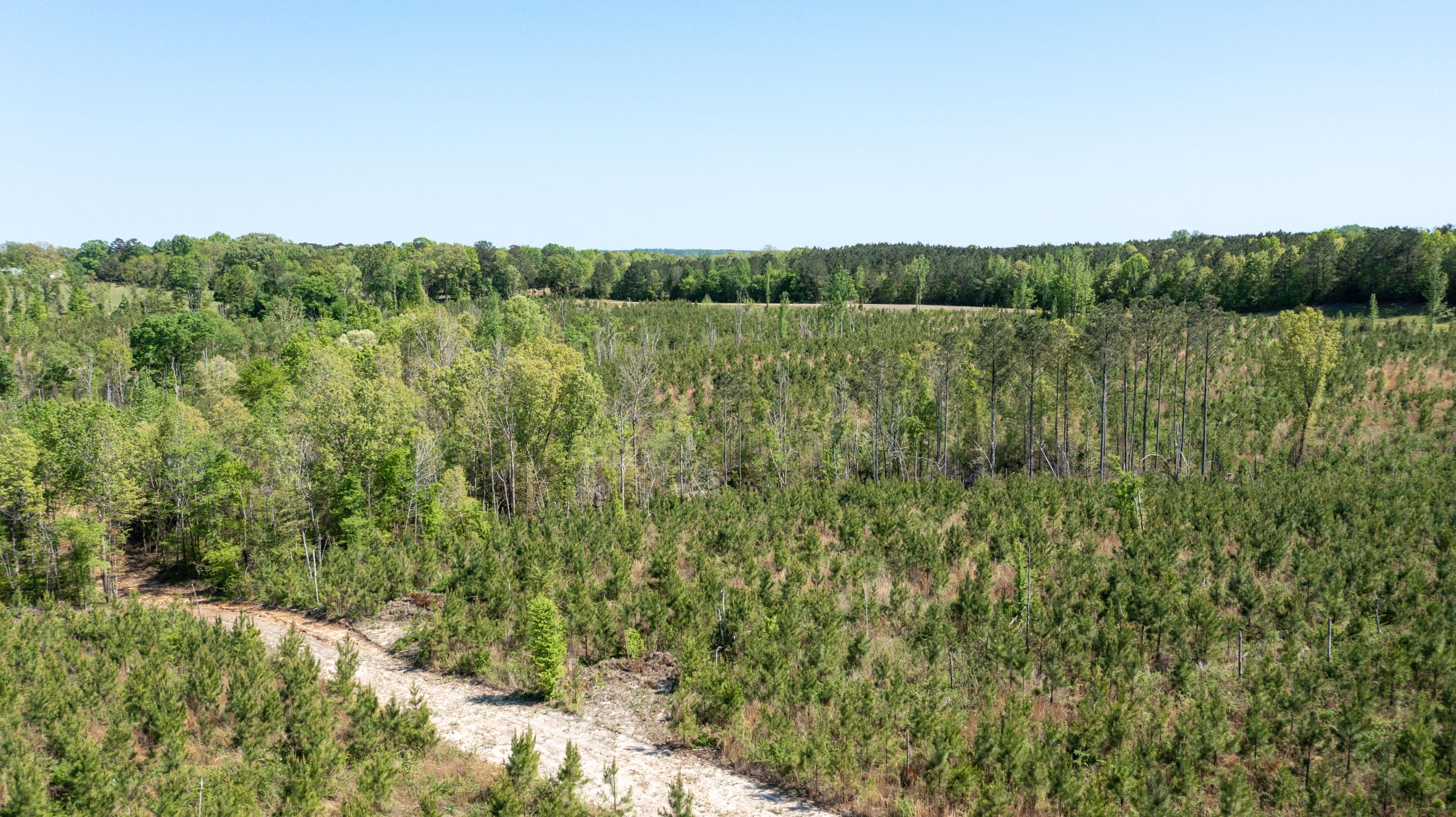Clear Wood Tract 4 photo 8