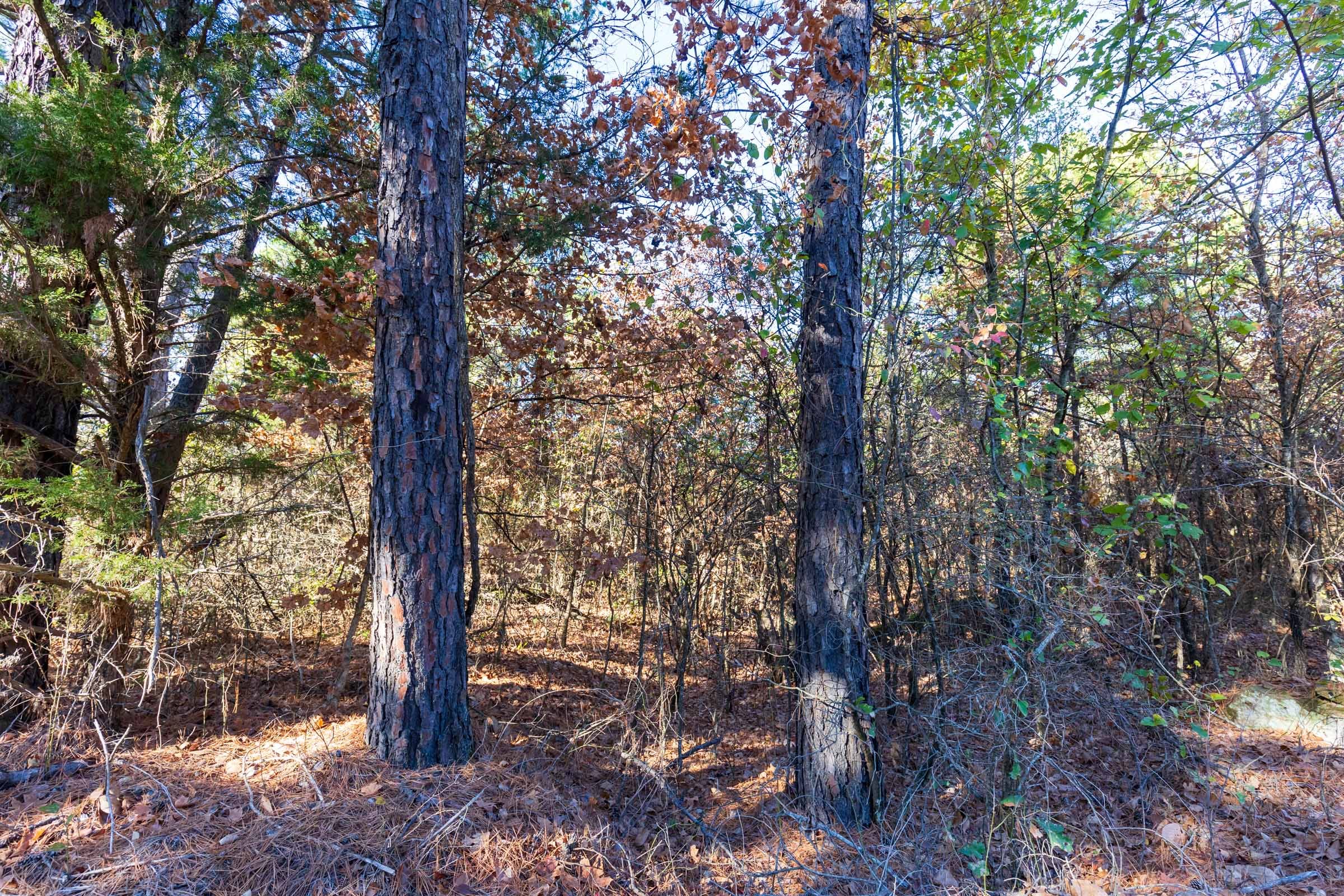 Stone Bridge Reserve Tract 27 photo 4