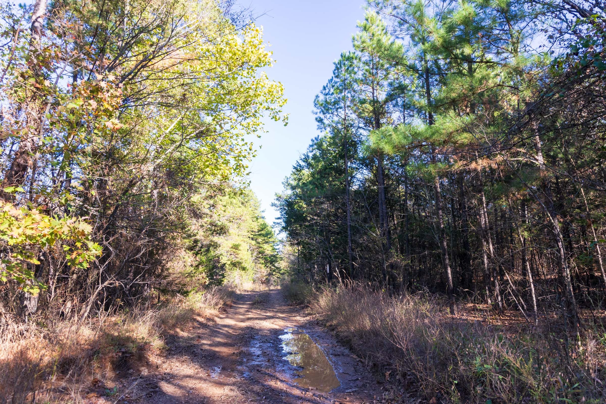 Stone Bridge Reserve Tract 27 photo 5
