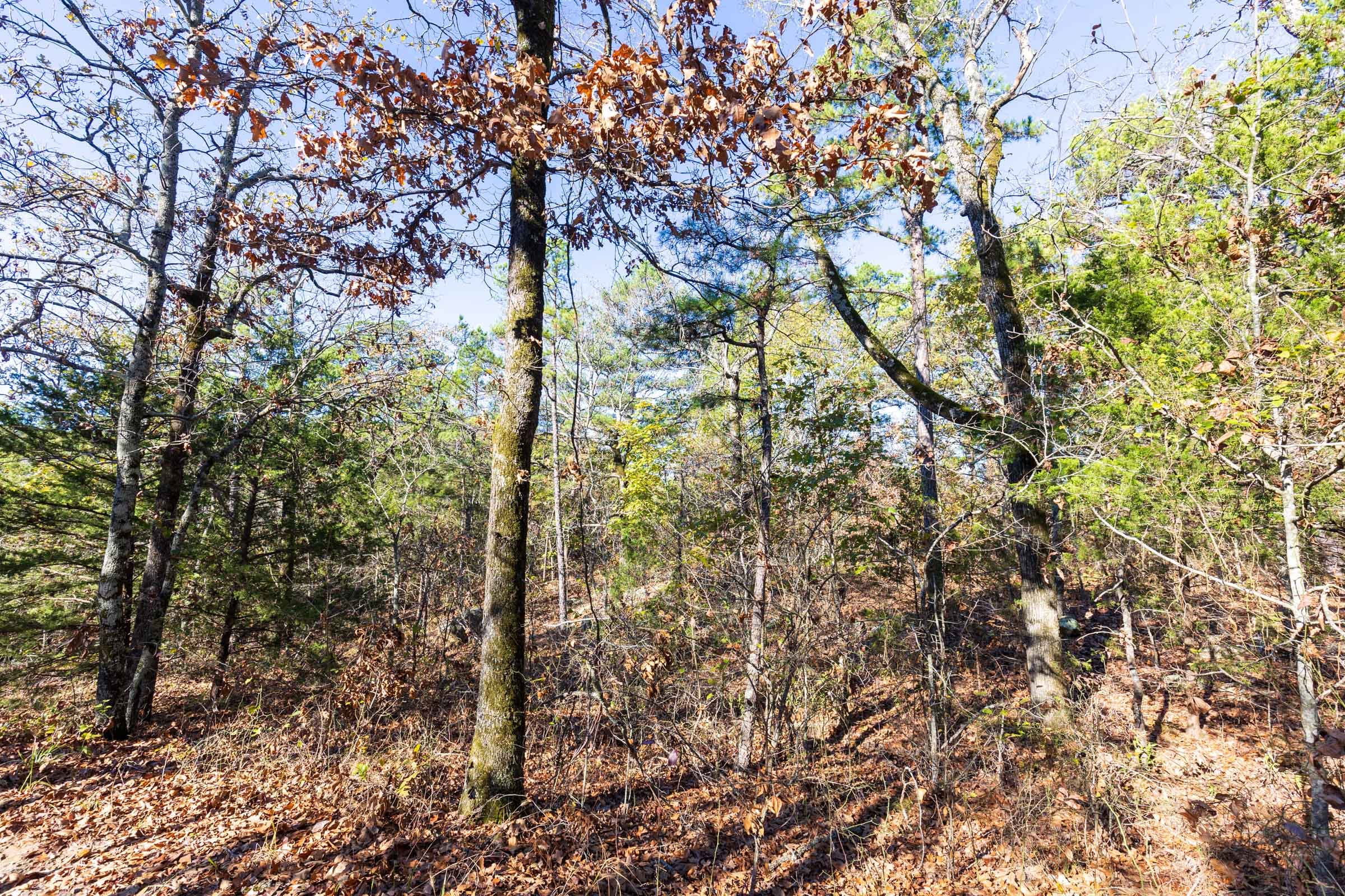 Stone Bridge Reserve Tract 27 photo 3