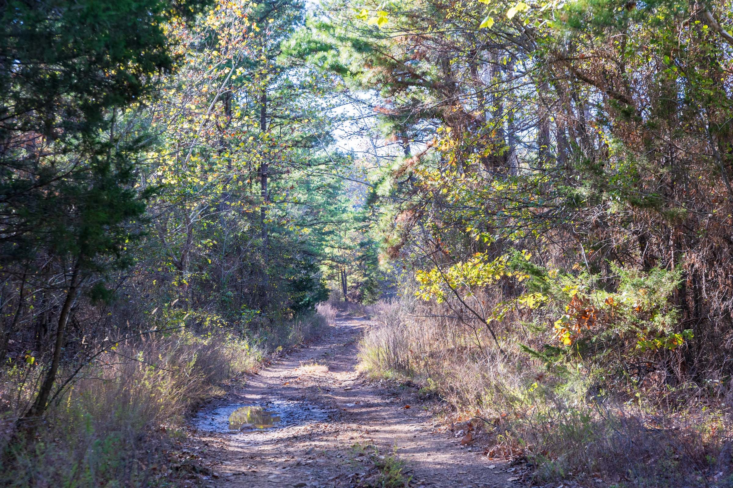 Stone Bridge Reserve Tract 27 photo 1