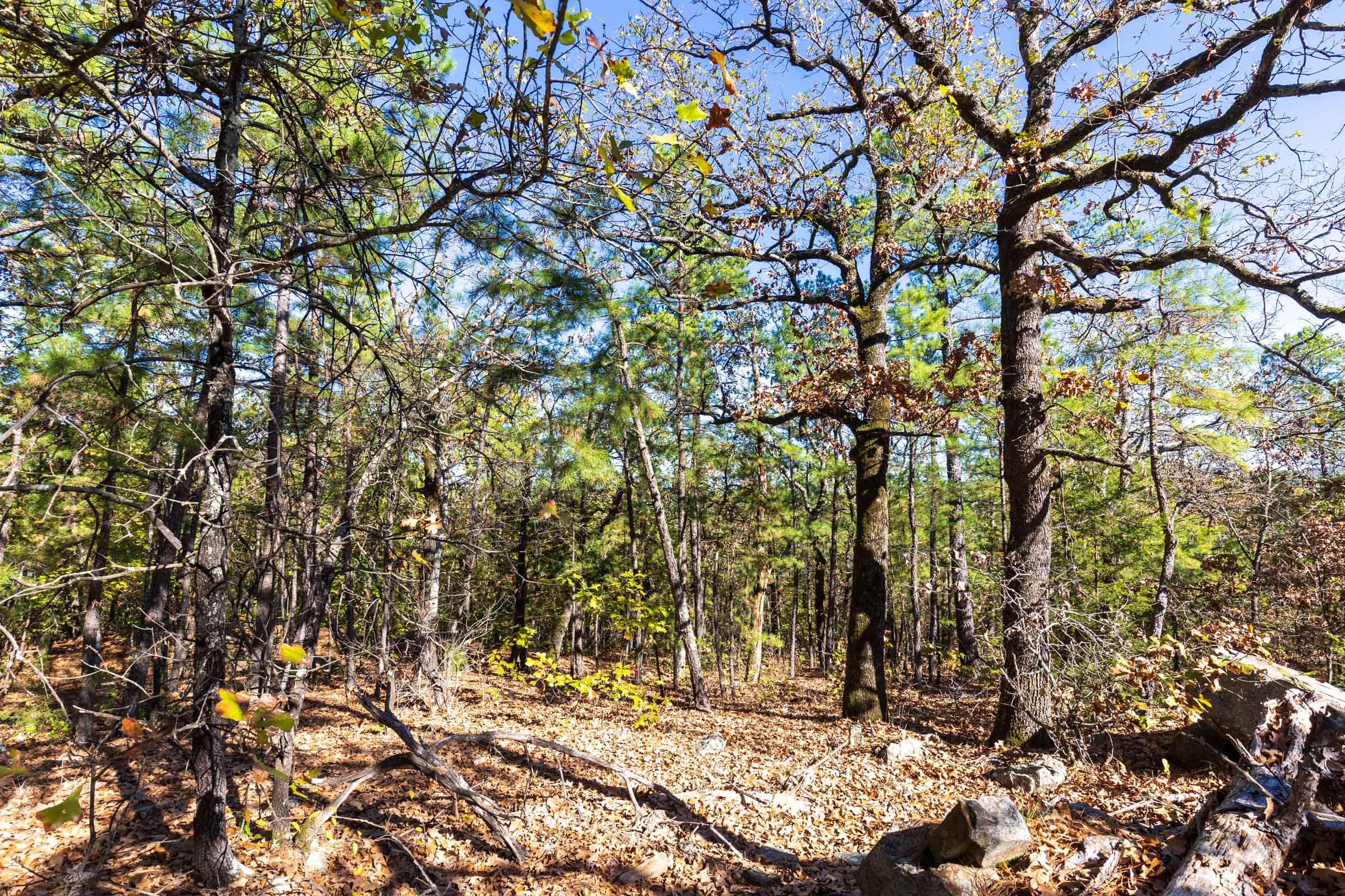 Stone Bridge Reserve Tract 27 photo 2