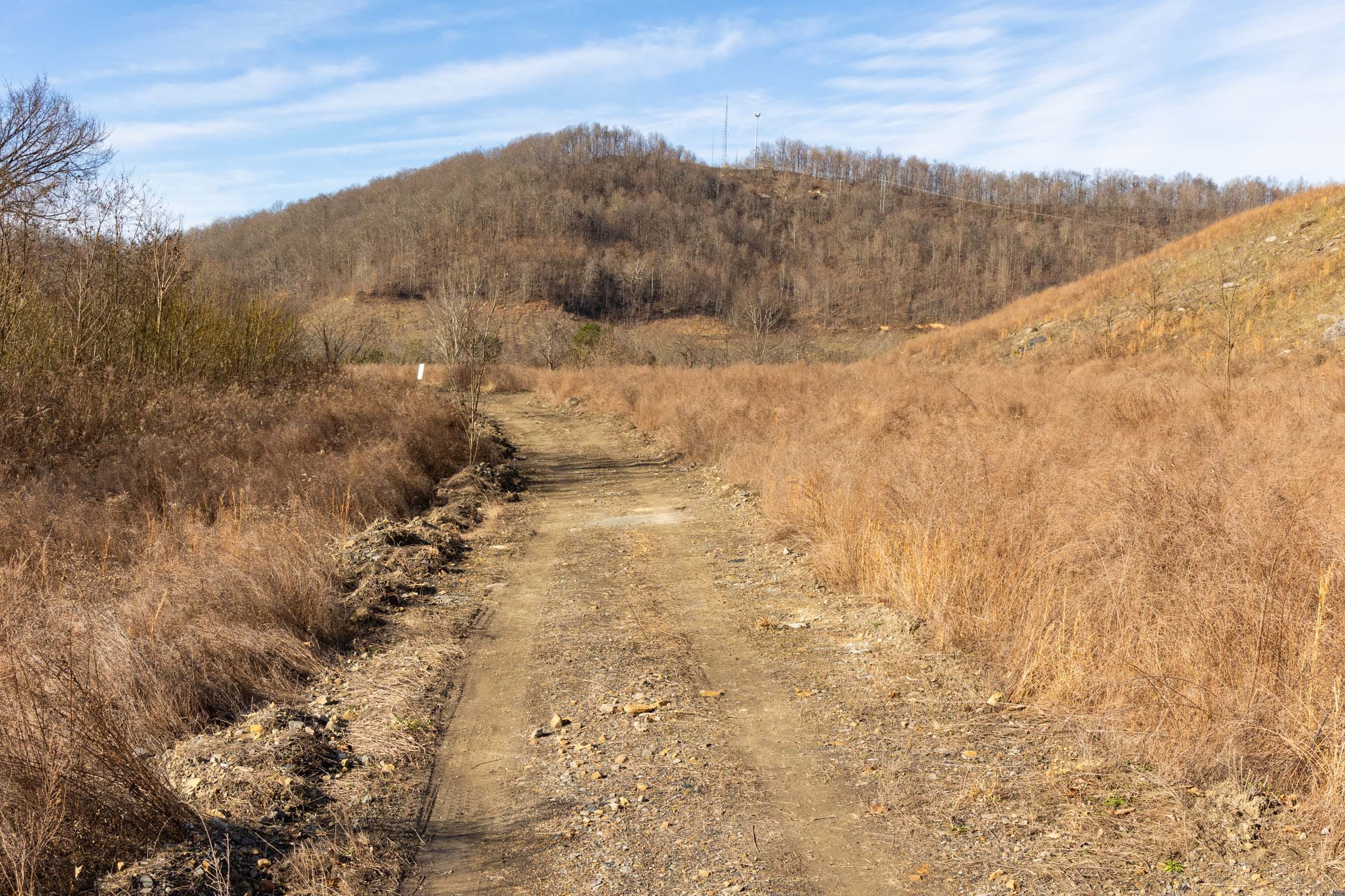 Jade Pass Tract 16 photo 8