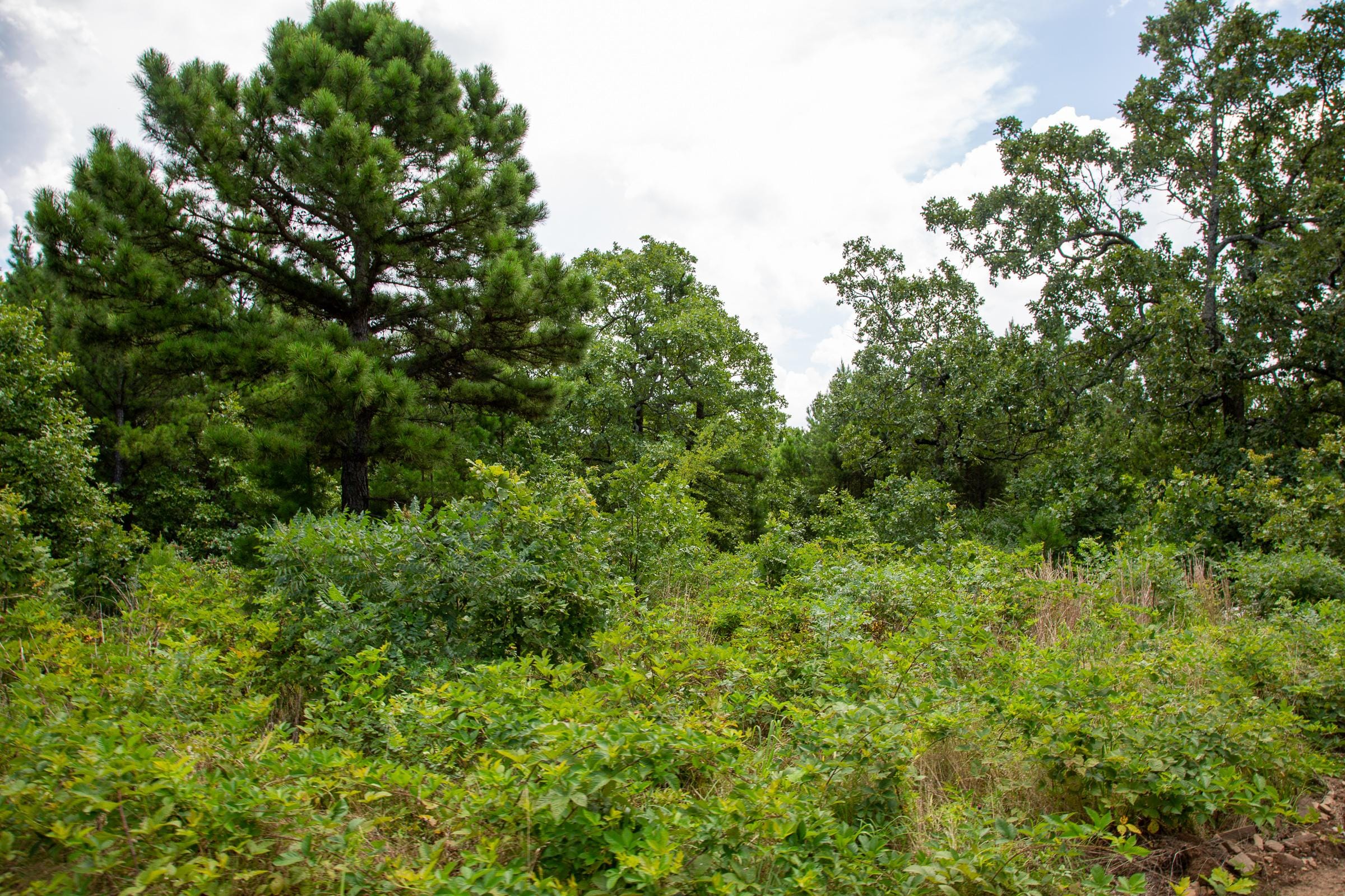 Tyler Stone Ranch Tract 18 photo 4