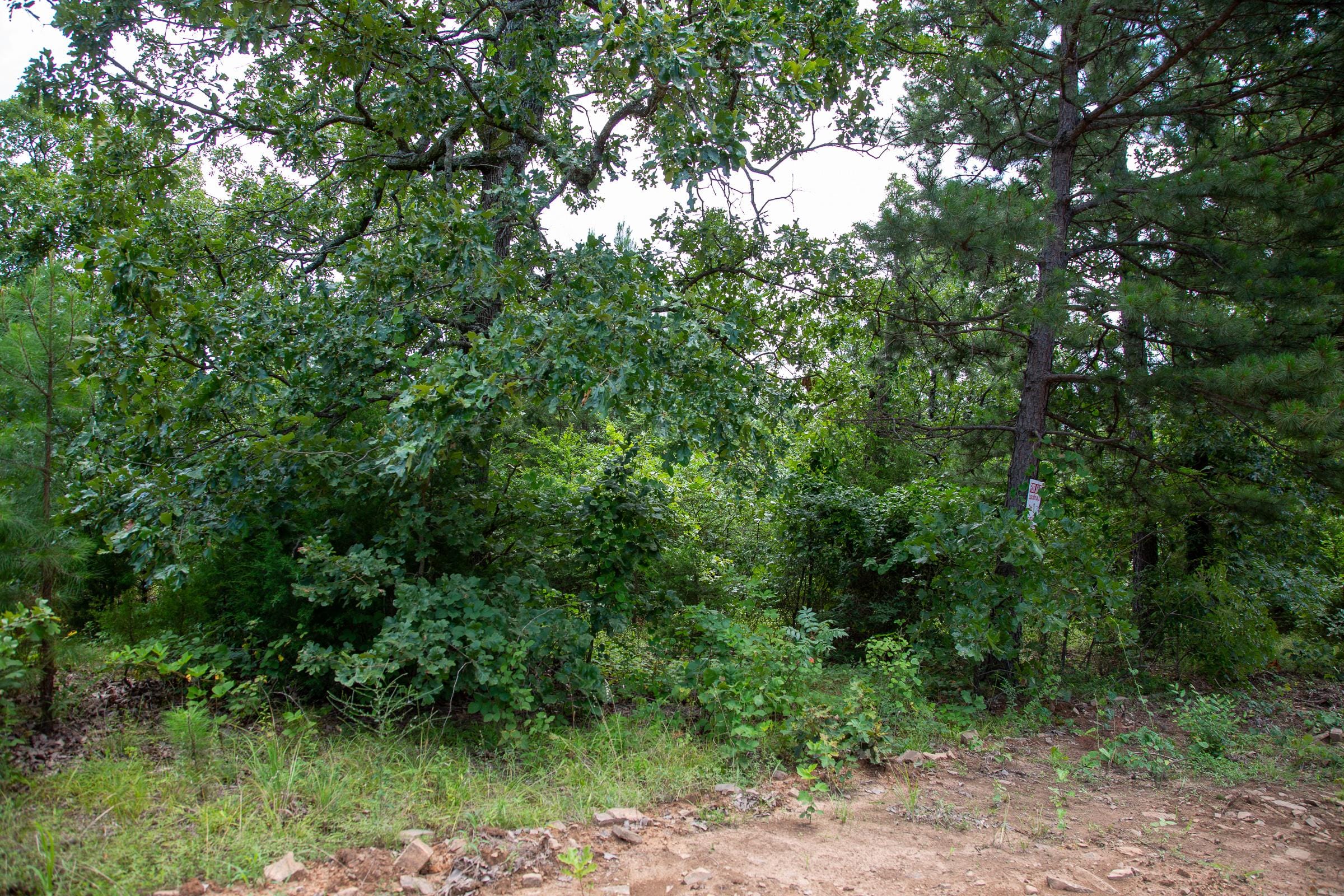 Tyler Stone Ranch Tract 18 photo 5