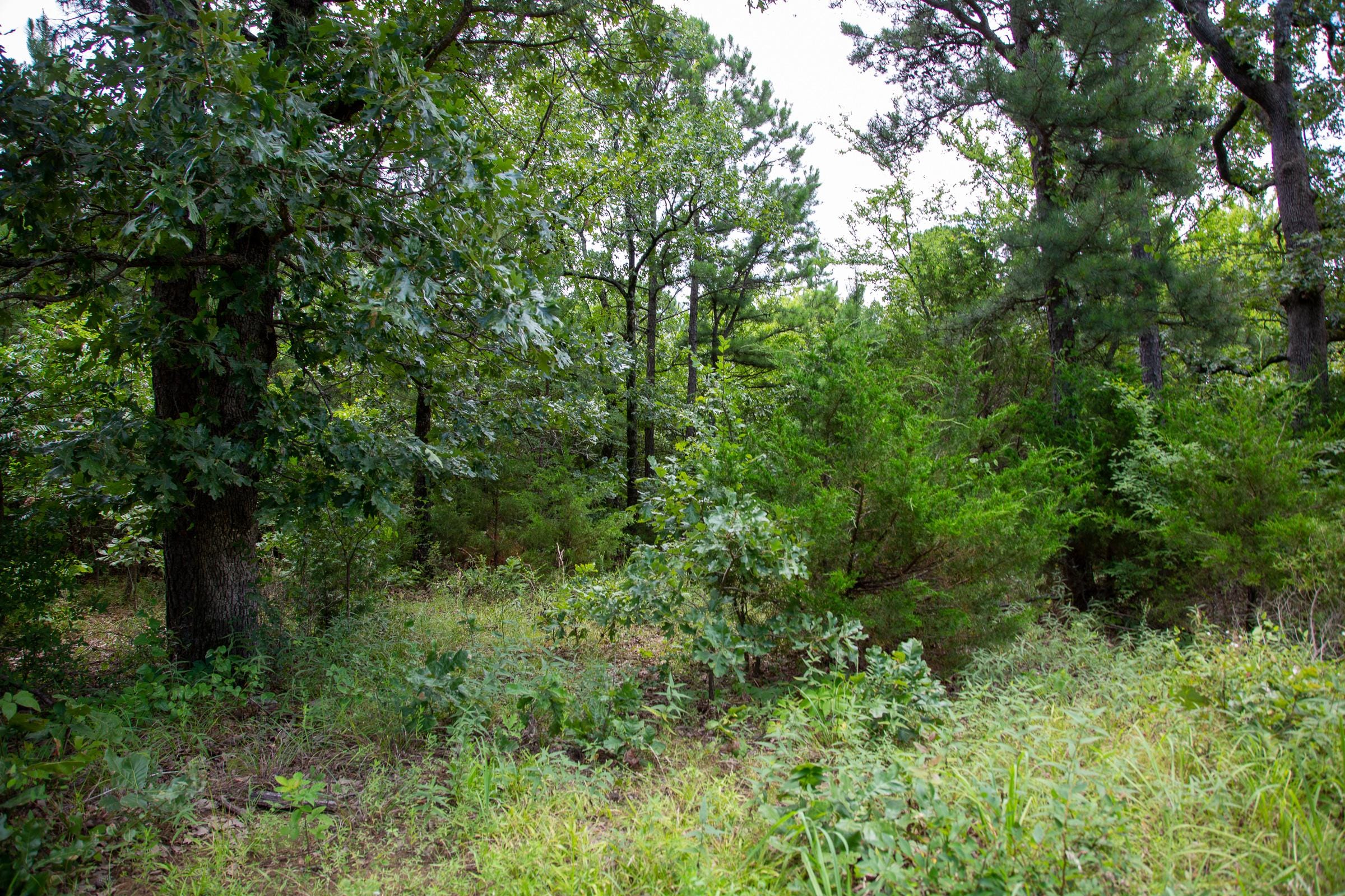 Tyler Stone Ranch Tract 18 photo 6