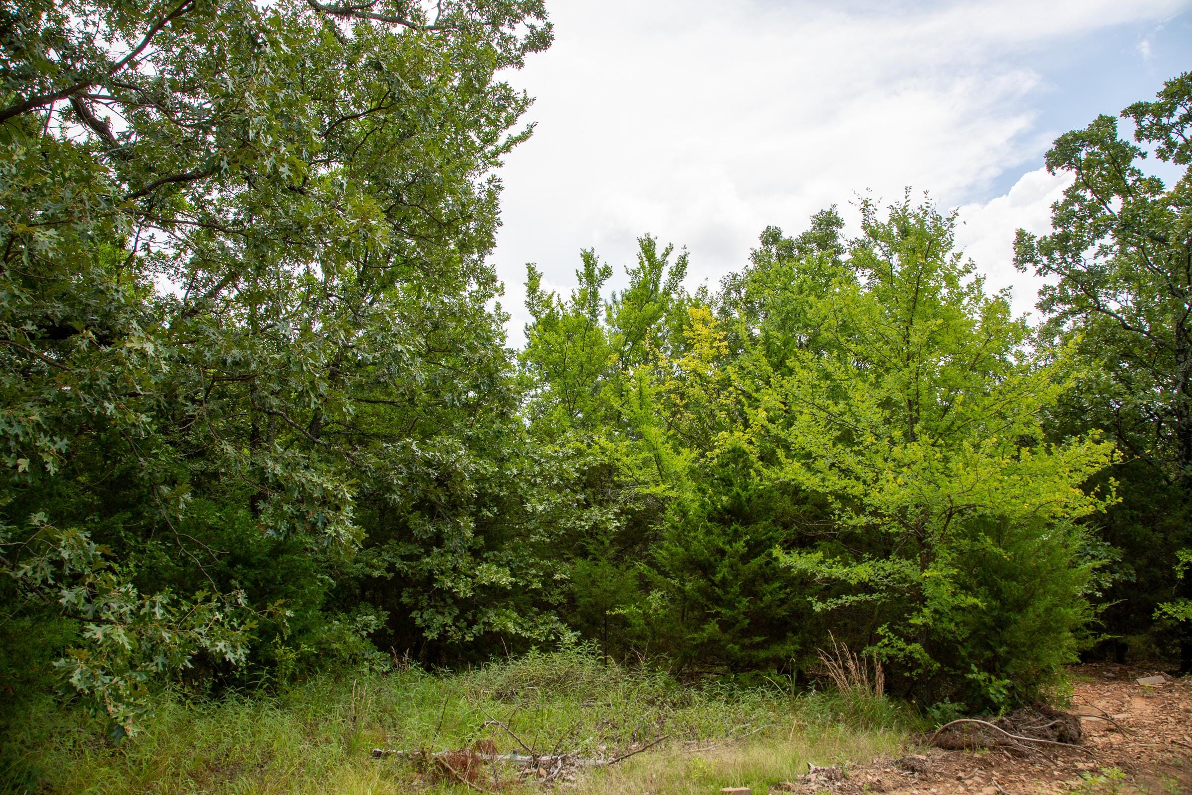Tyler Stone Ranch Tract 18 photo 1