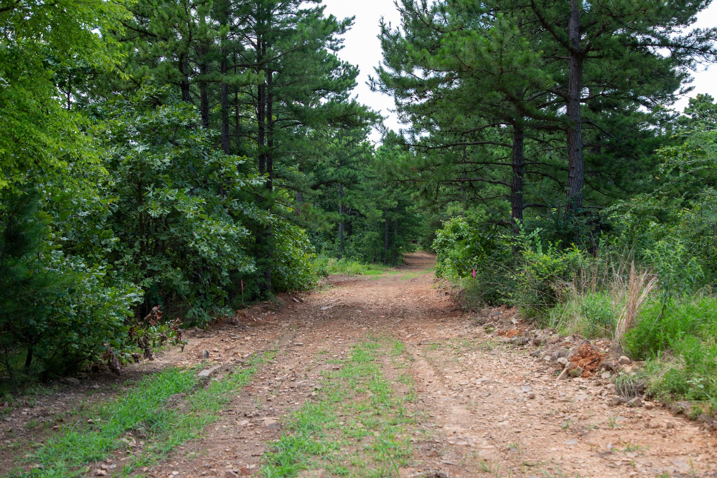 Tyler Stone Ranch Tract 18 photo 7