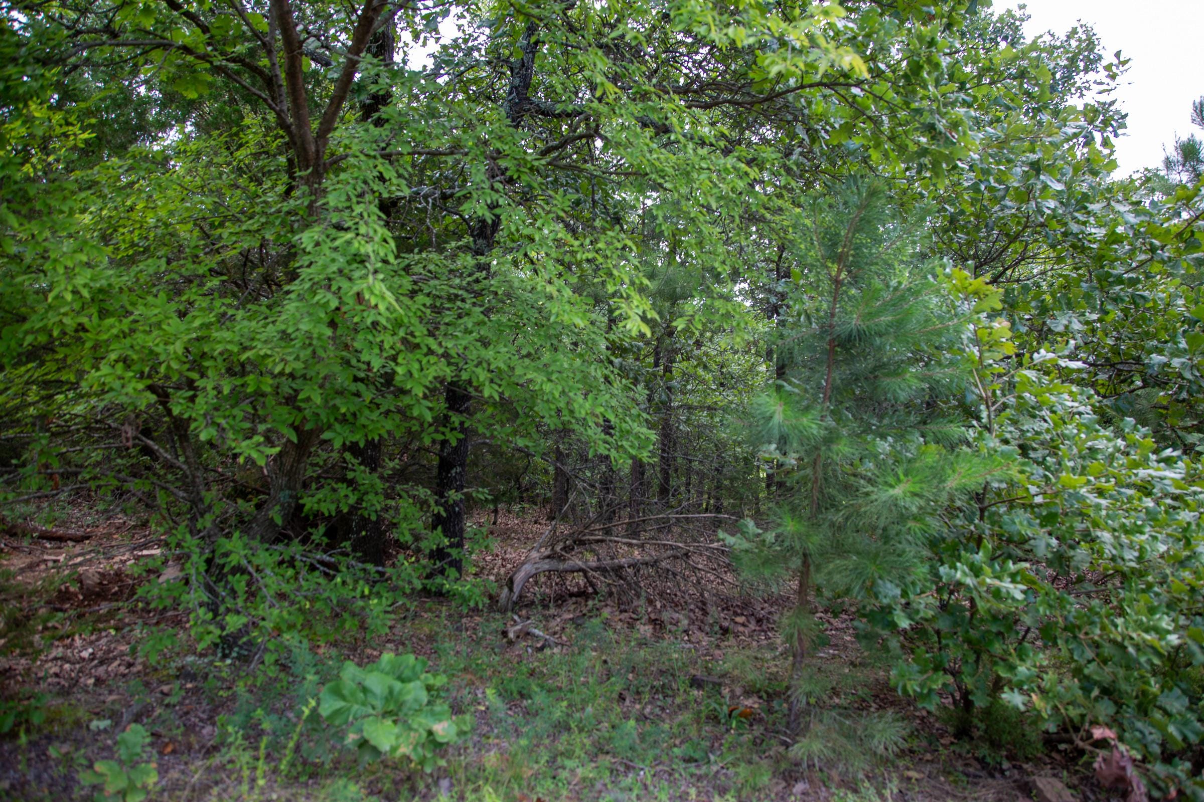 Tyler Stone Ranch Tract 18 photo 9